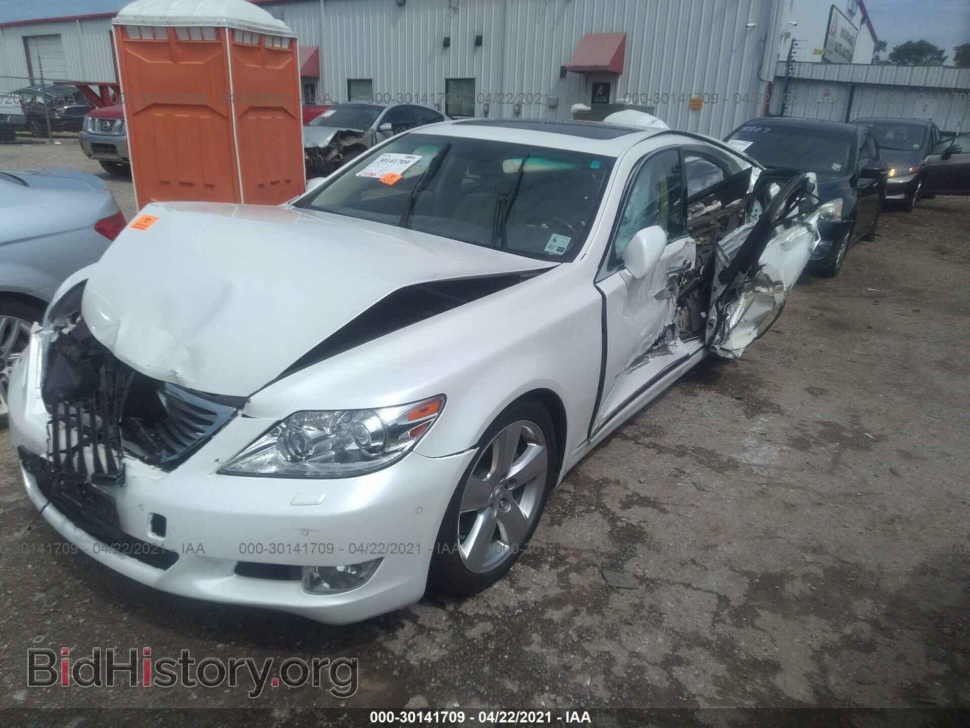 2012 LEXUS LS 460 - VIN: JTHBL5EF1C5113584 - Фото 2