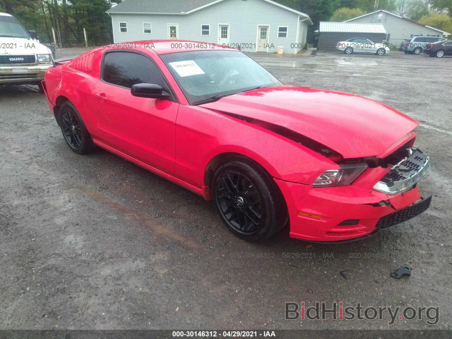 Photo 1ZVBP8AM7E5203866 - FORD MUSTANG 2014