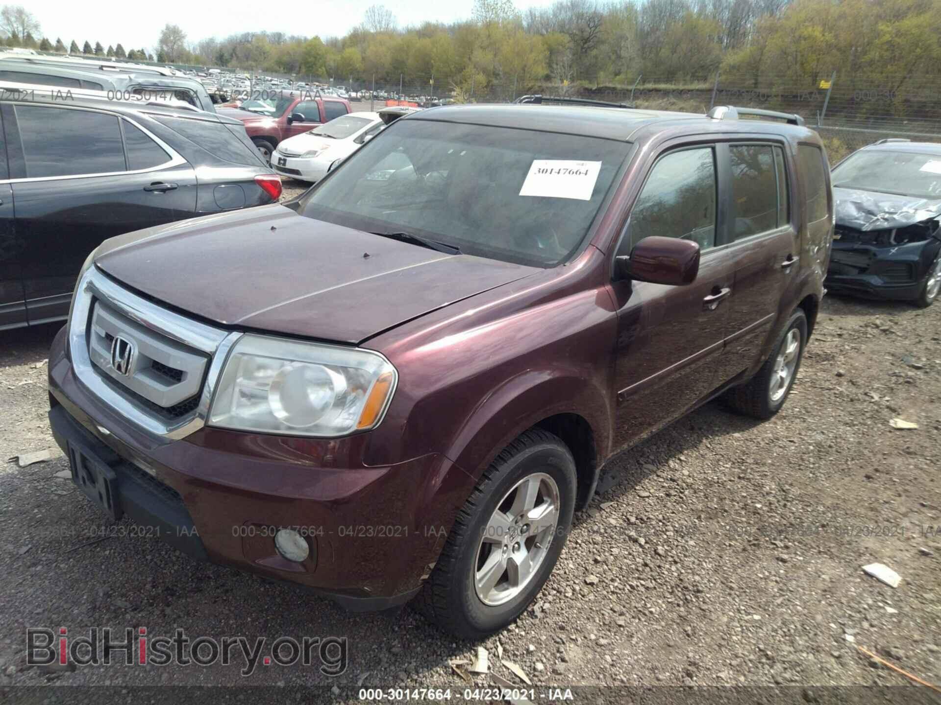 2009 HONDA PILOT - VIN: 5FNYF48509B051960 - Фото 2