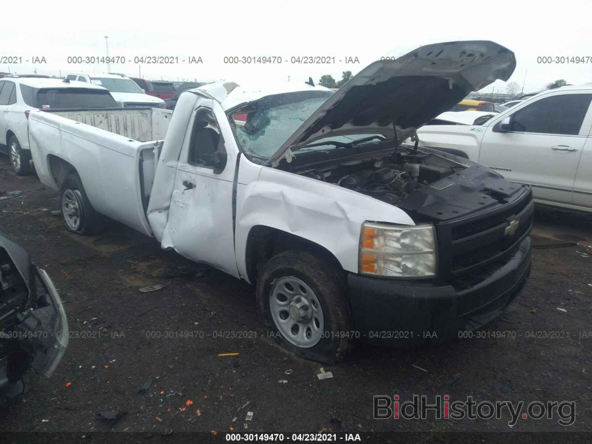 Photo 1GCEC14X08Z217078 - CHEVROLET SILVERADO 1500 2008