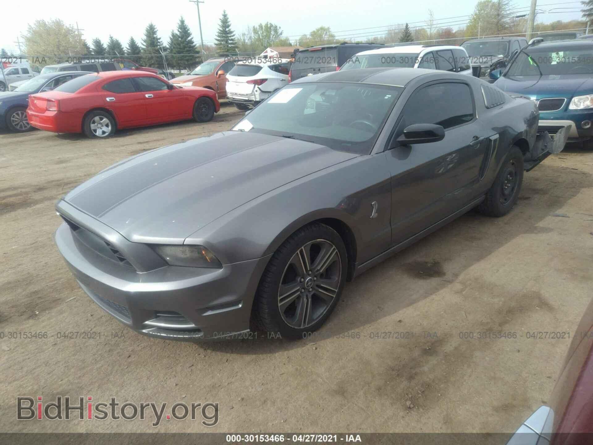 2013 FORD MUSTANG - VIN: 1ZVBP8AM6D5235769 - Фото 2