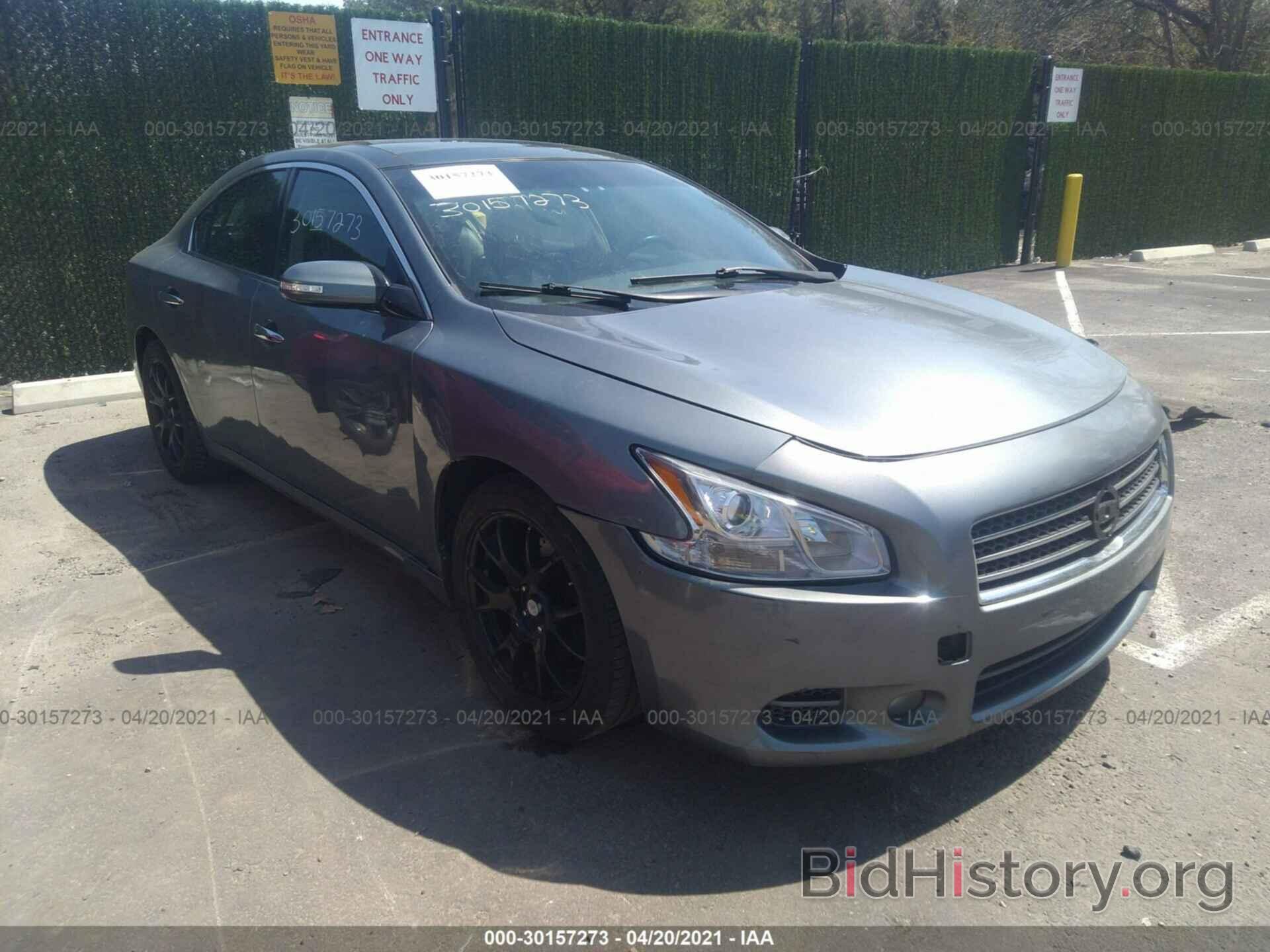 Photo 1N4AA5AP7BC817483 - NISSAN MAXIMA 2011