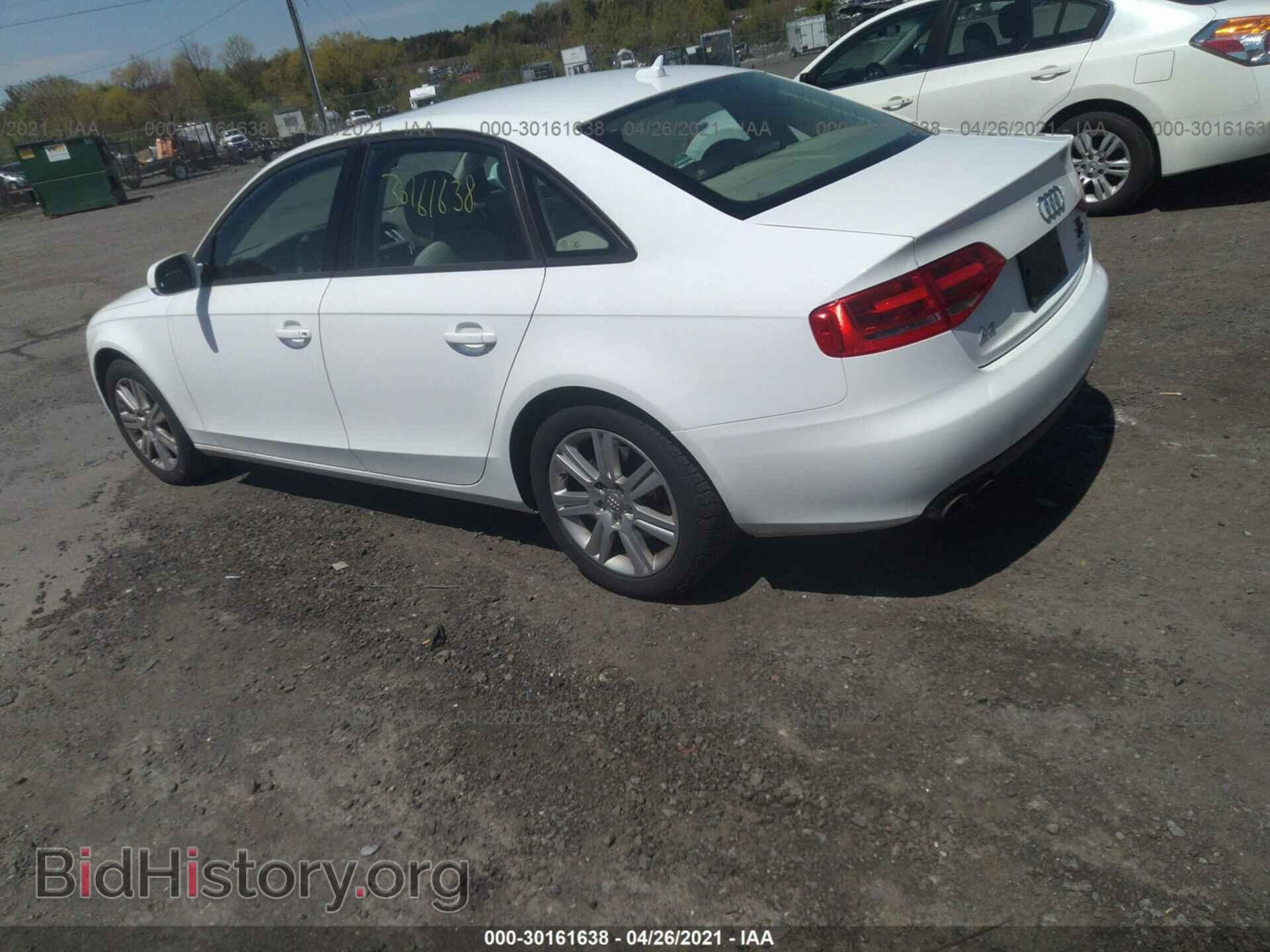 2010 AUDI A4 - VIN: WAUBFAFL3AN050021 - Фото 3