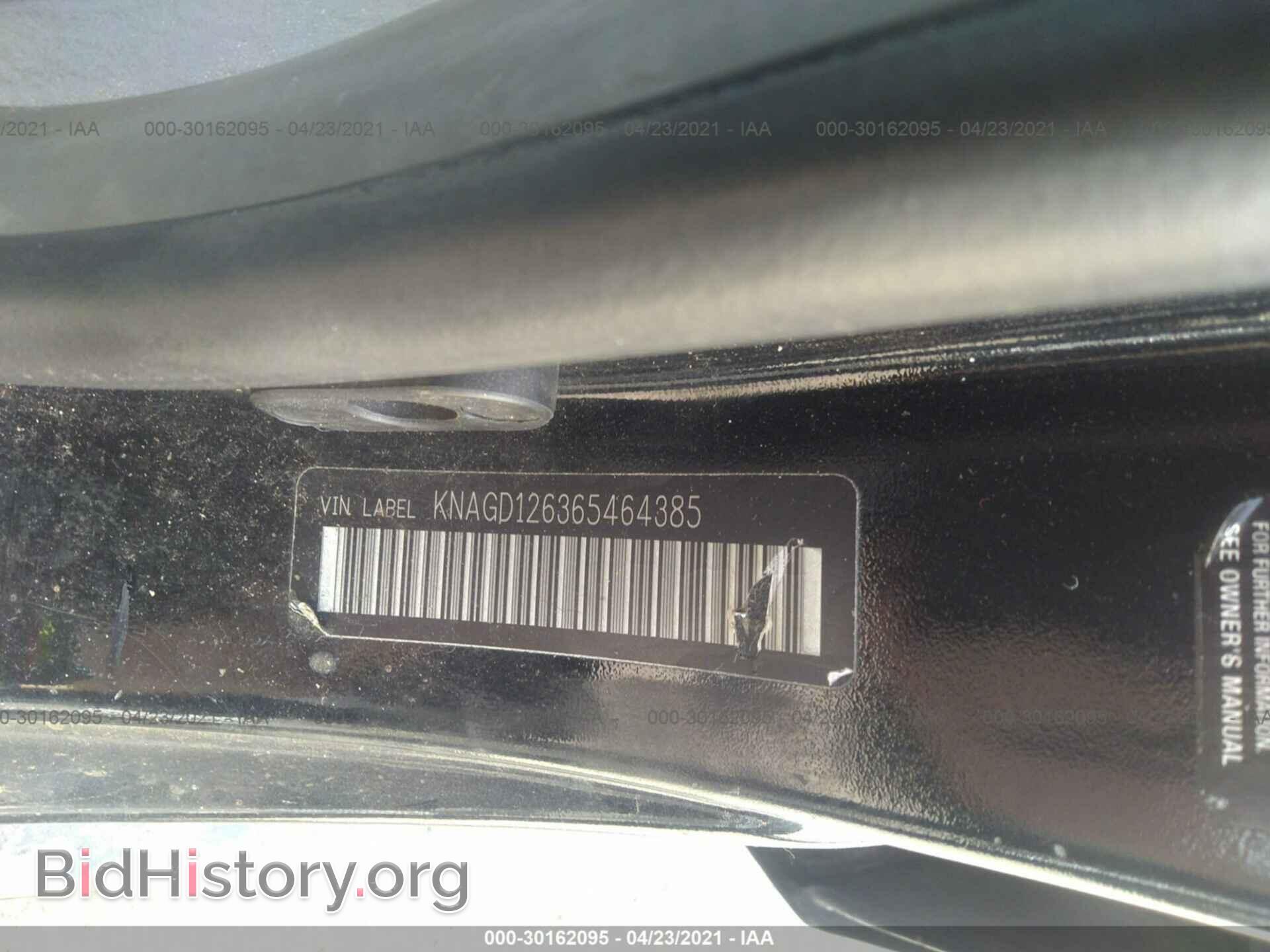 2006 KIA OPTIMA - VIN: KNAGD126365464385 - Фото 9