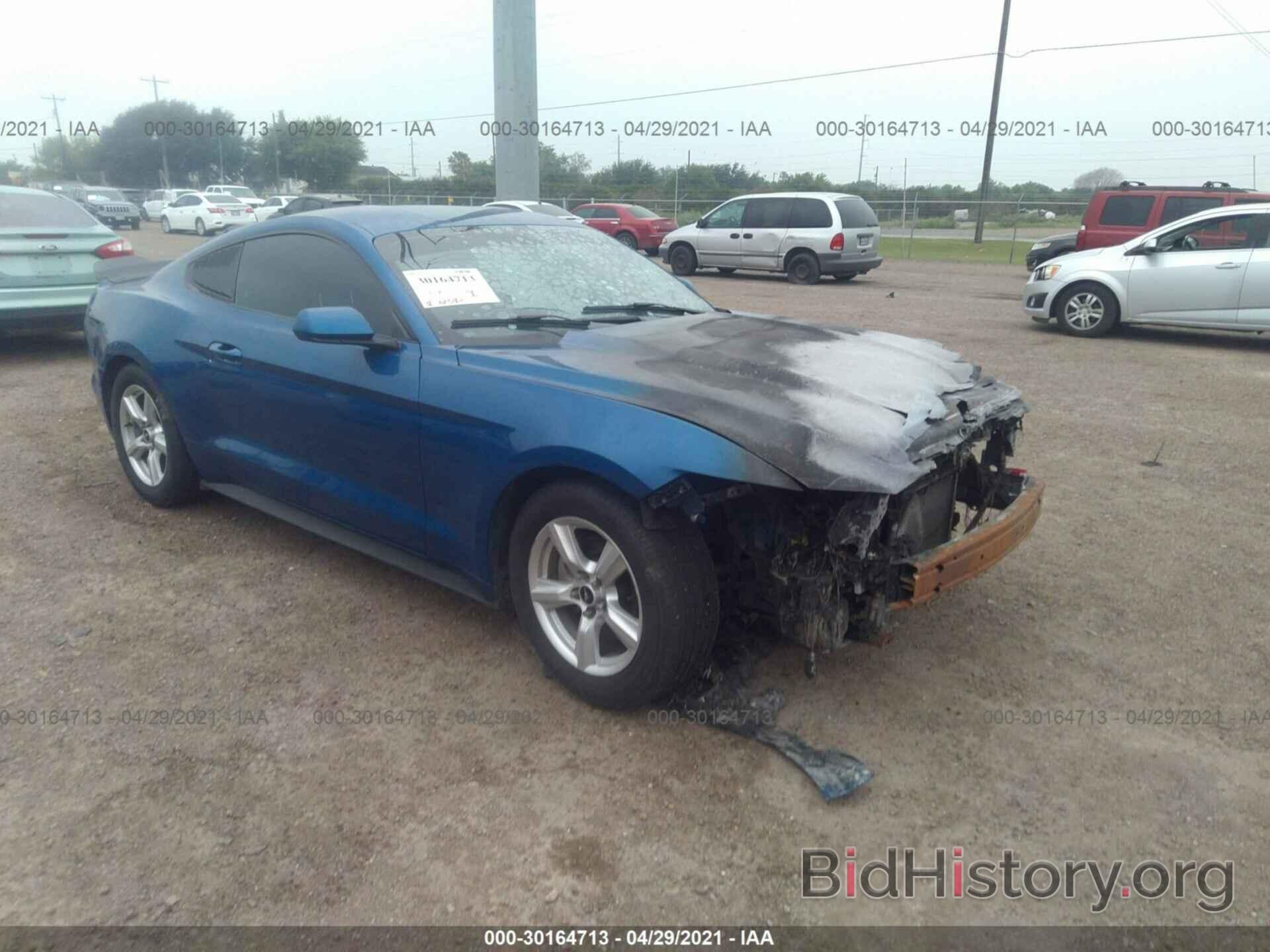 Photo 1FA6P8AM8H5323030 - FORD MUSTANG 2017