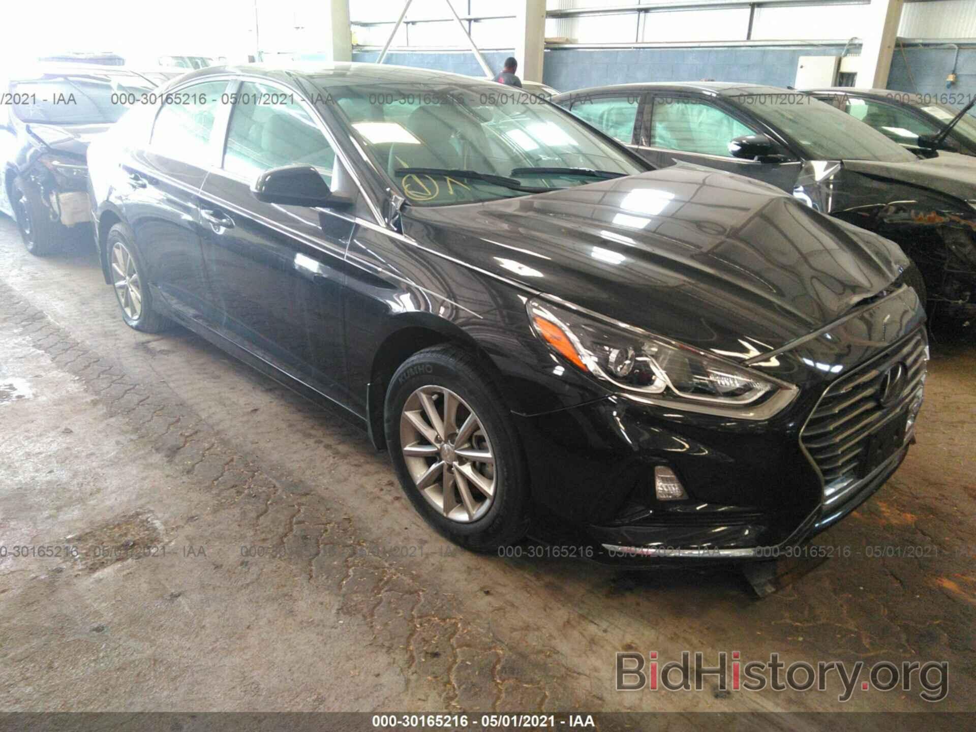 Photo 5NPE24AF3KH805233 - HYUNDAI SONATA 2019