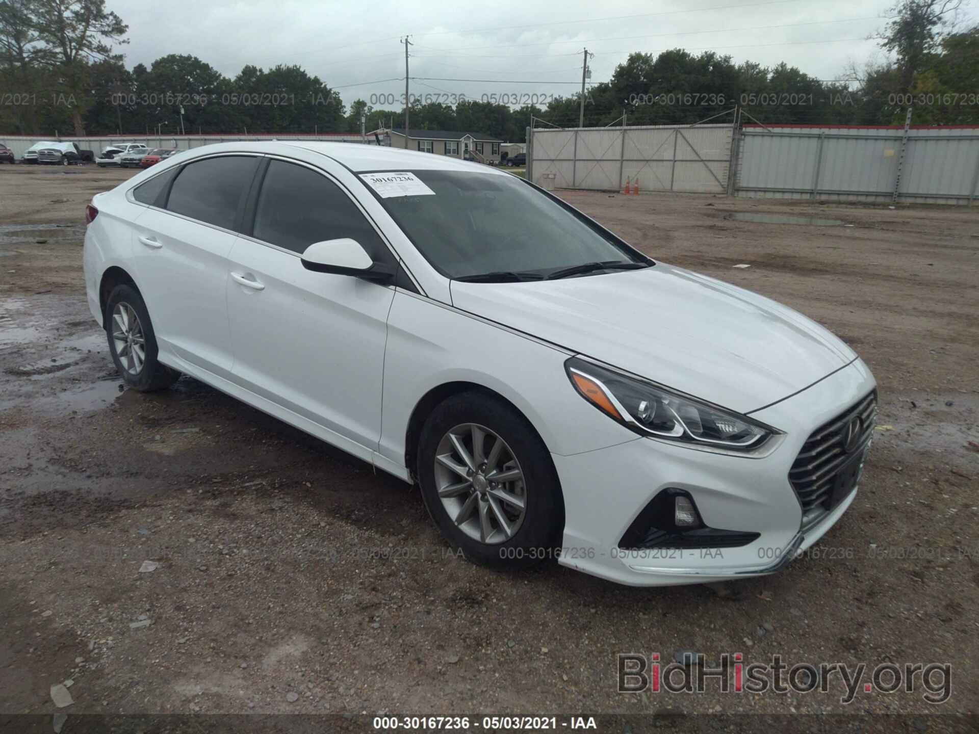 Photo 5NPE24AF7KH745604 - HYUNDAI SONATA 2019