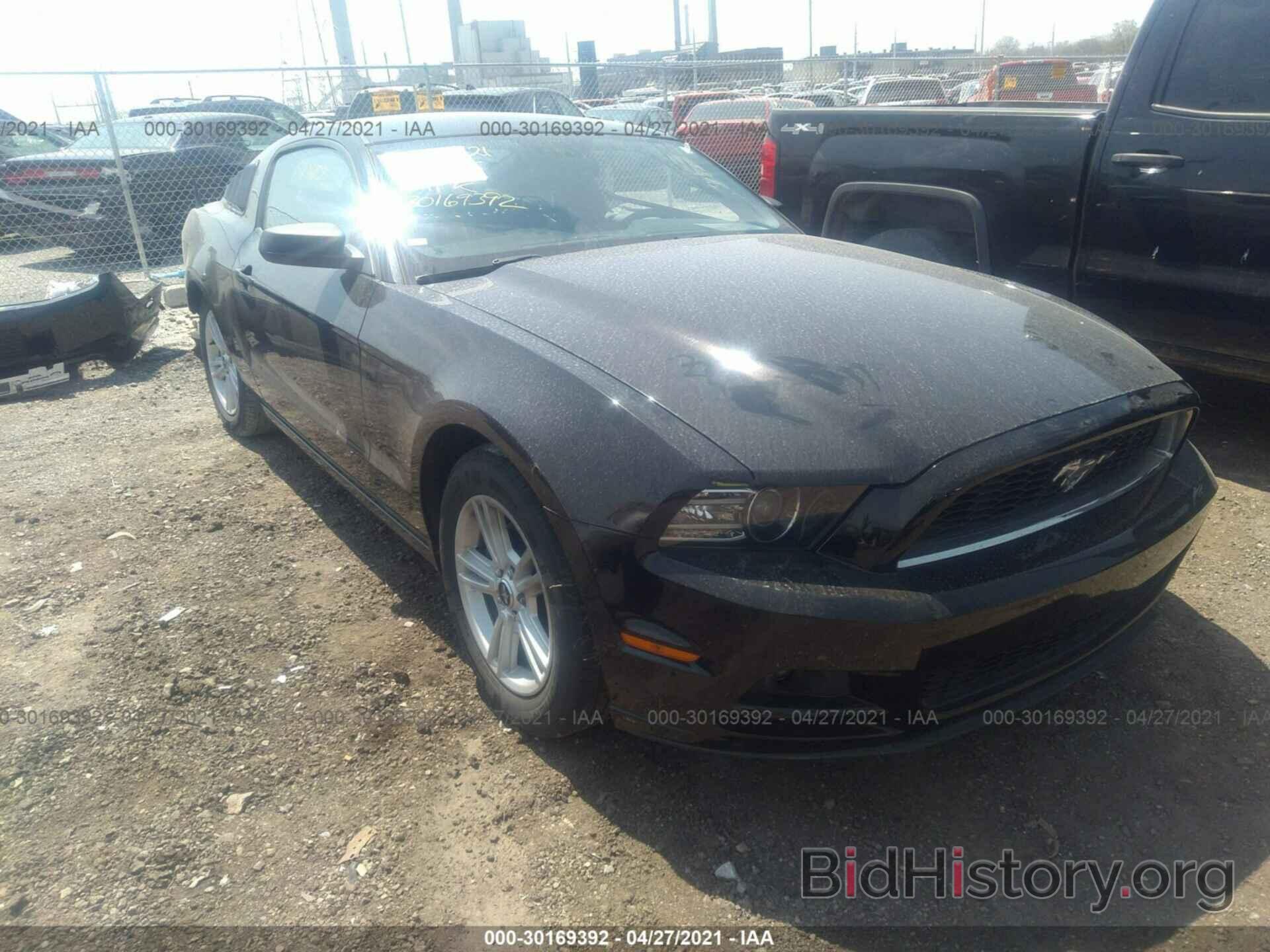 Photo 1ZVBP8AM8E5291522 - FORD MUSTANG 2014