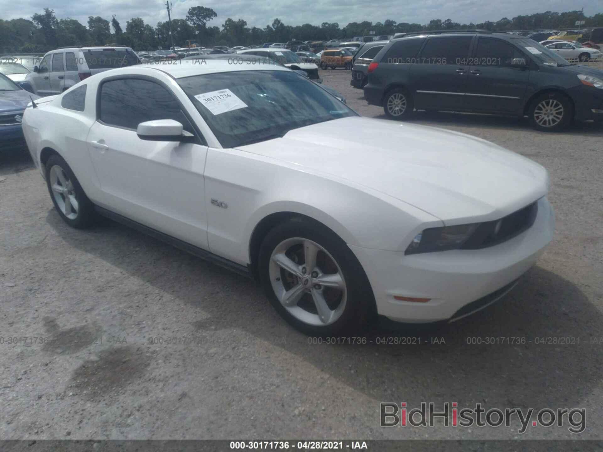 Photo 1ZVBP8CF3B5149010 - FORD MUSTANG 2011