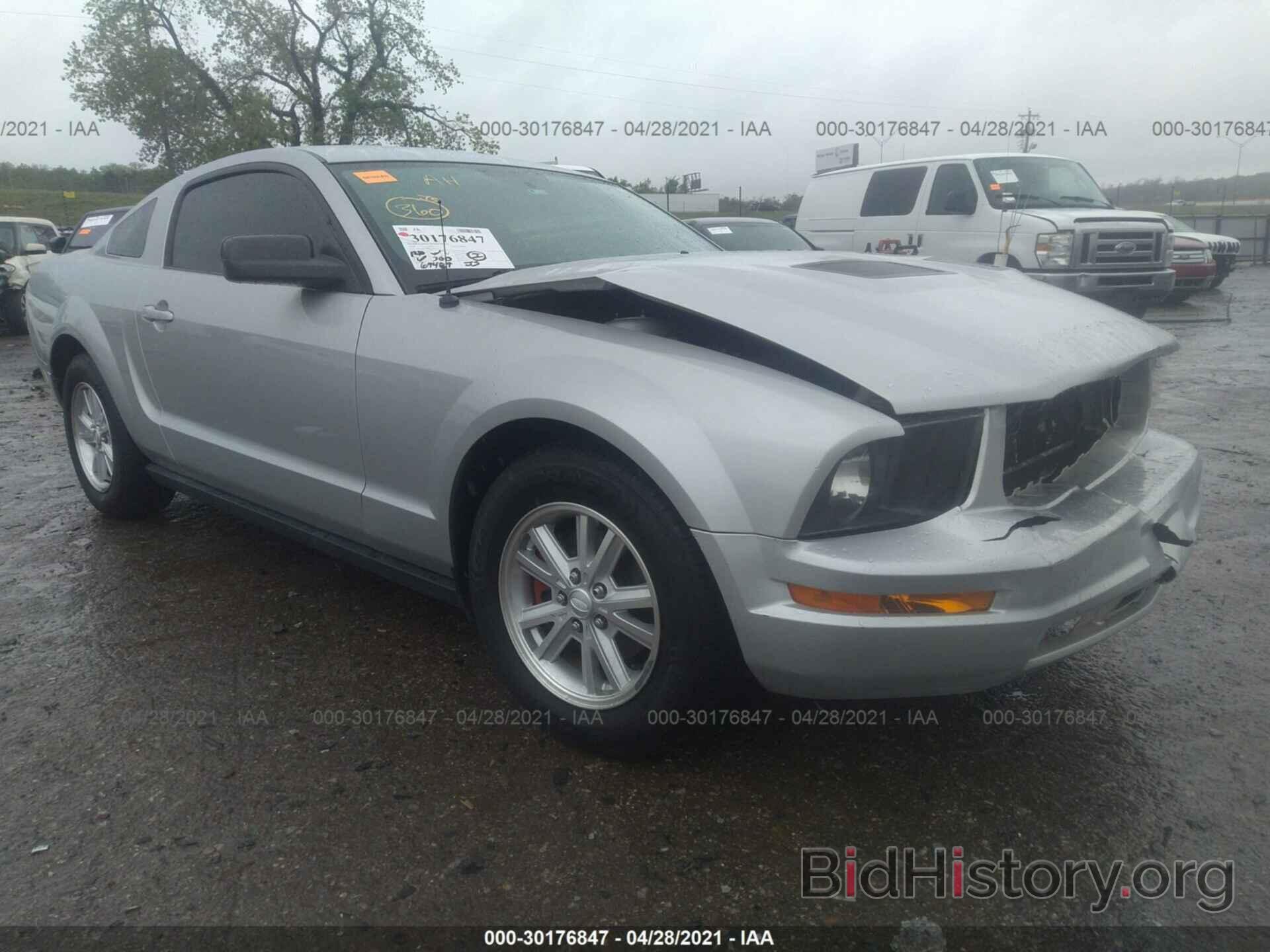 Photo 1ZVHT80NX85104575 - FORD MUSTANG 2008