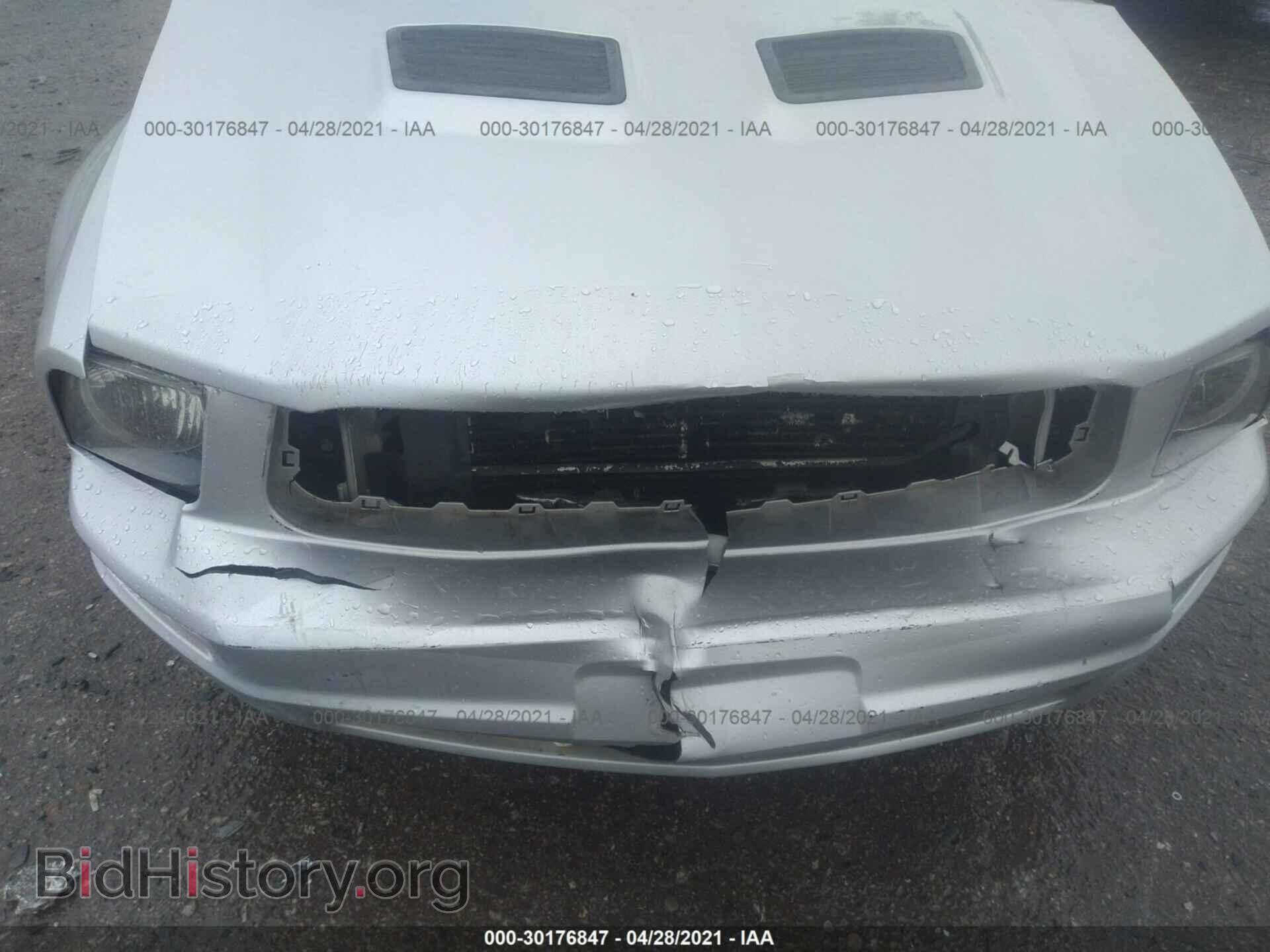 2008 FORD MUSTANG - VIN: 1ZVHT80NX85104575 - Фото 6