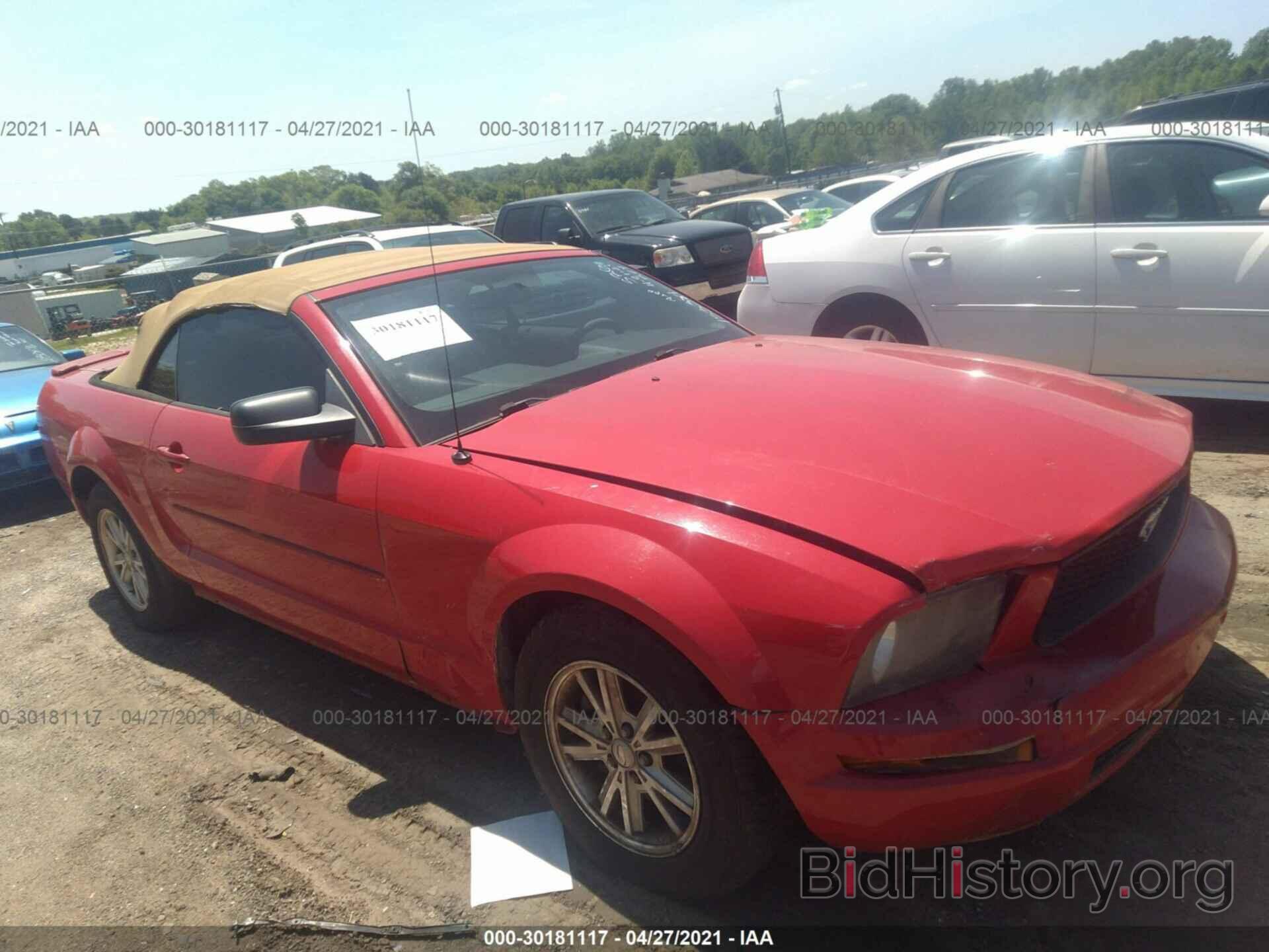 Photo 1ZVHT84N885153381 - FORD MUSTANG 2008