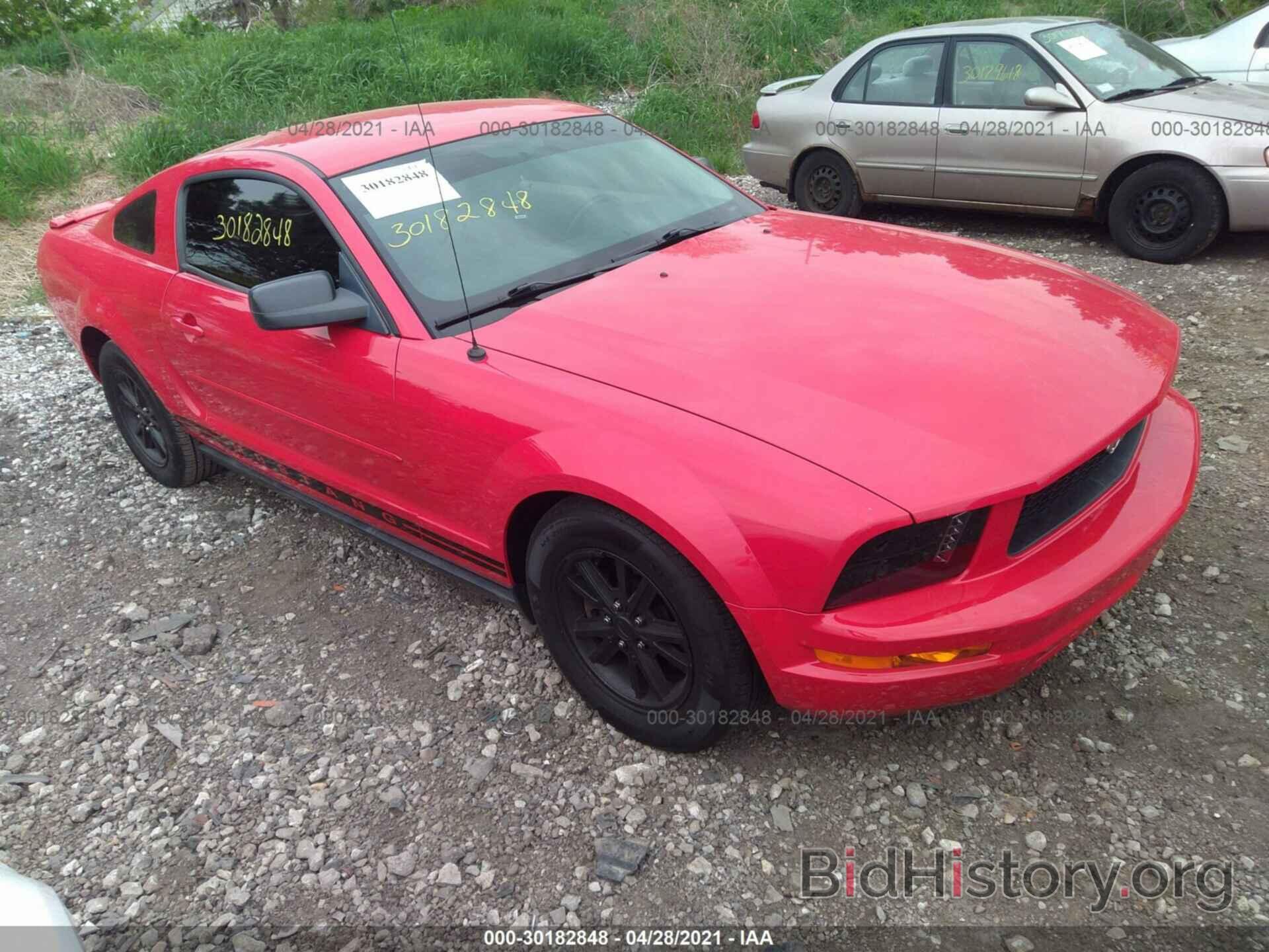Photo 1ZVHT80N485184682 - FORD MUSTANG 2008