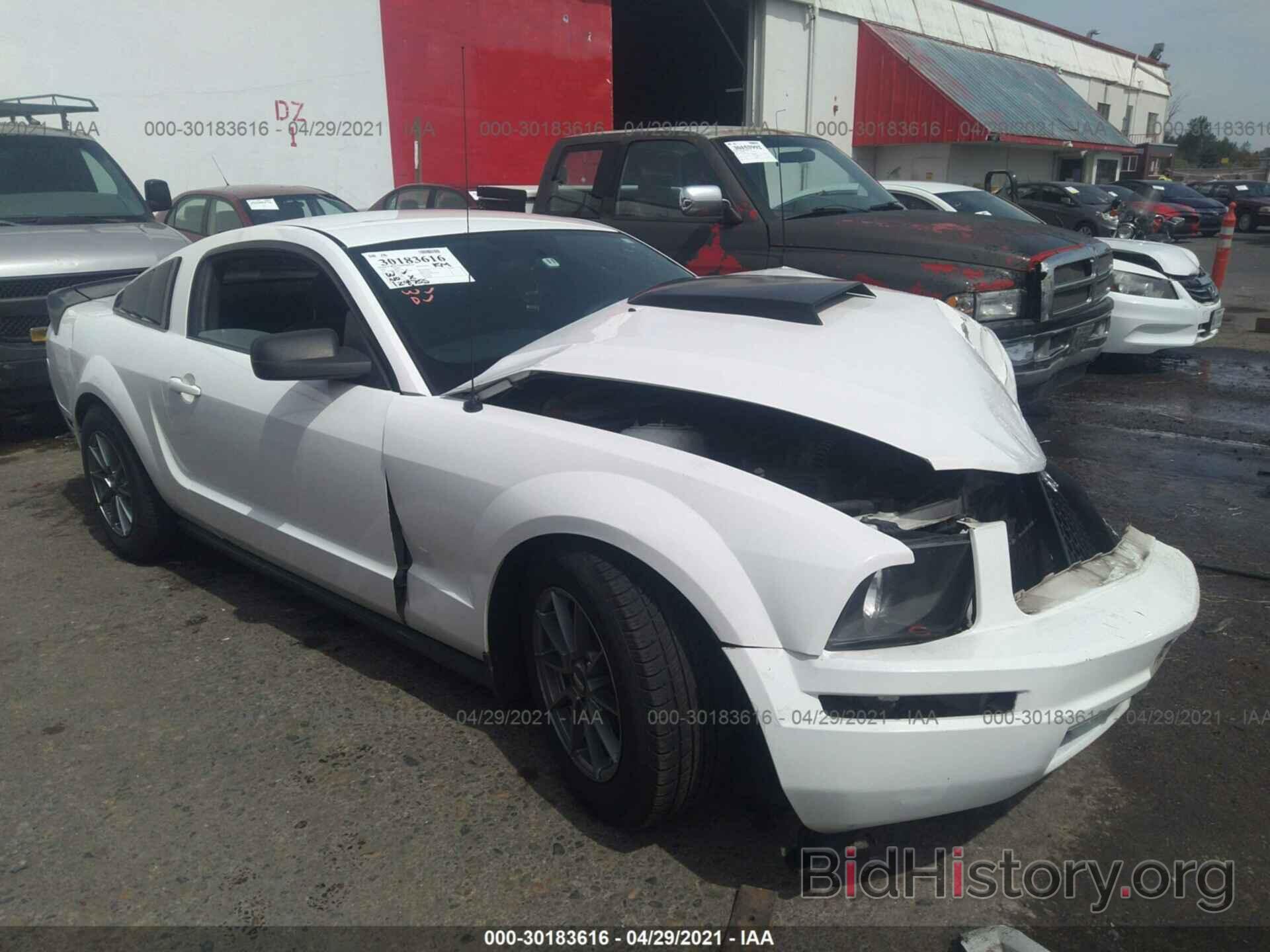 Photo 1ZVFT80N165258306 - FORD MUSTANG 2006