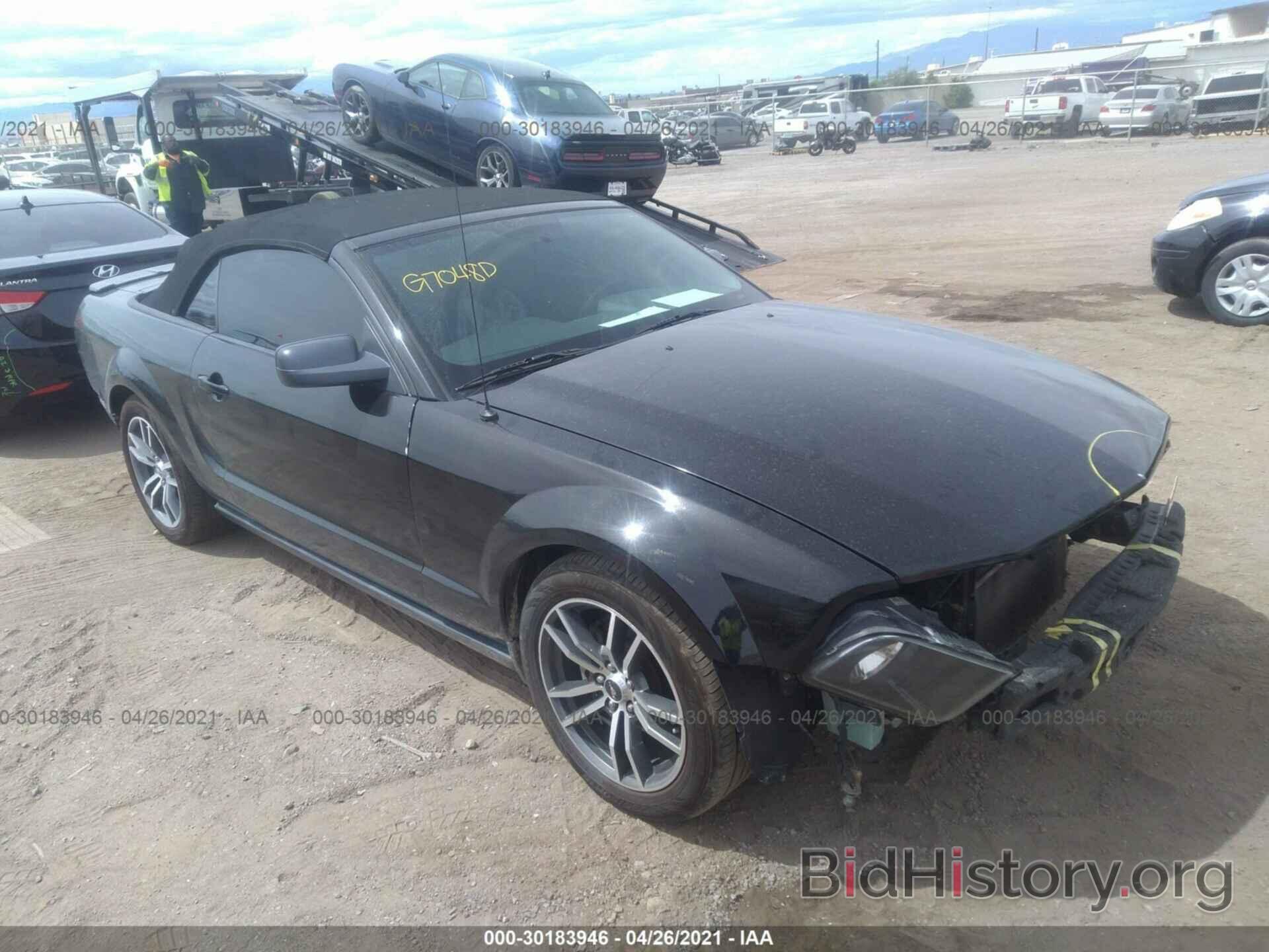Photo 1ZVHT84N385187048 - FORD MUSTANG 2008
