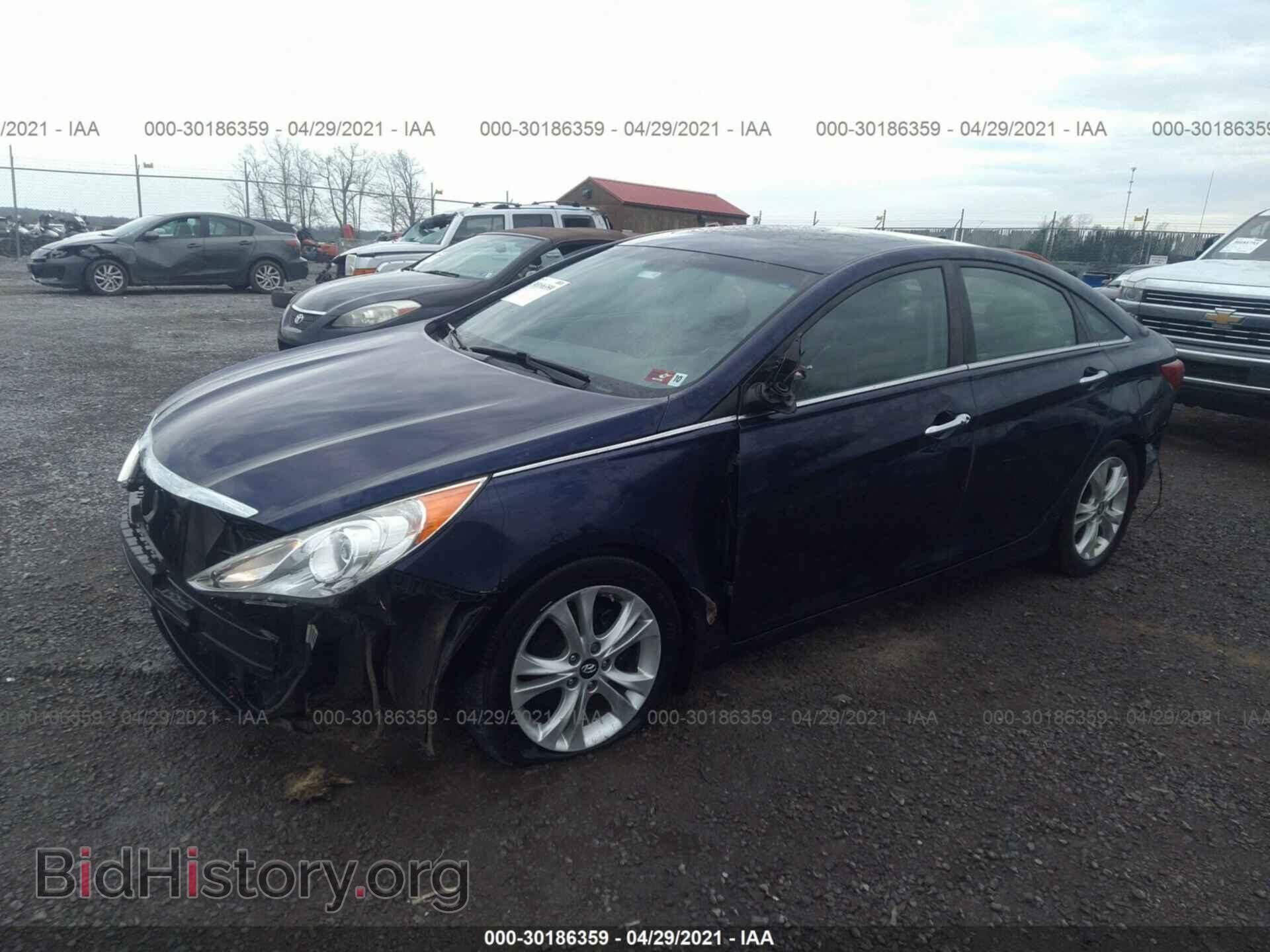 2013 HYUNDAI SONATA - VIN: 5NPEC4AC3DH528802 - Фото 2