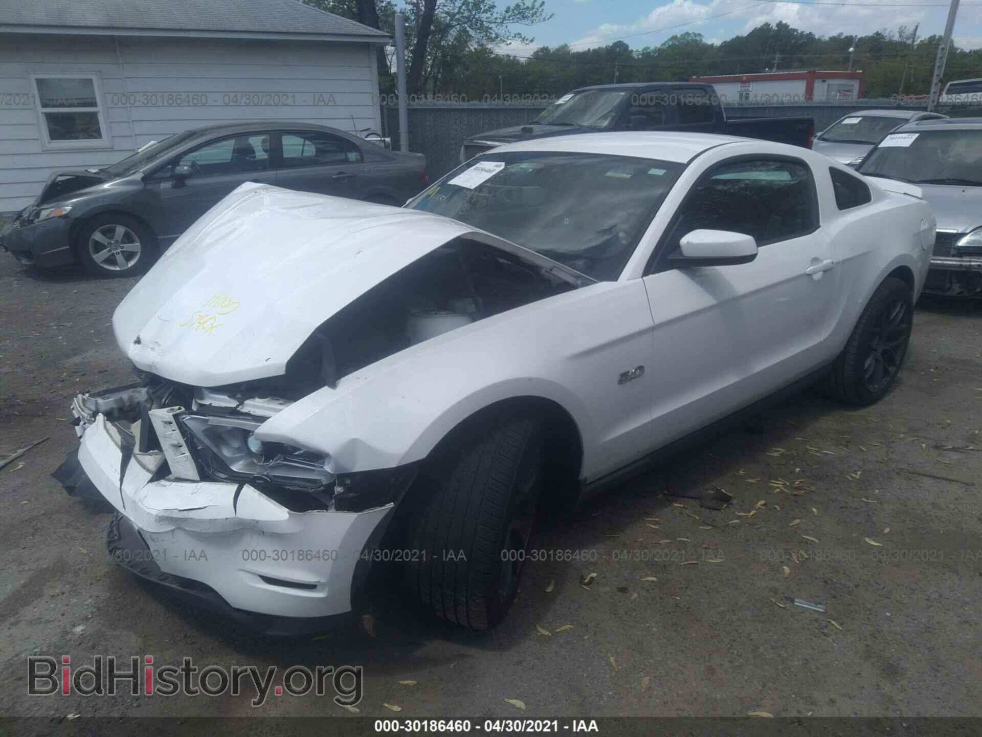 2012 FORD MUSTANG - VIN: 1ZVBP8CF0C5280929 - Фото 2