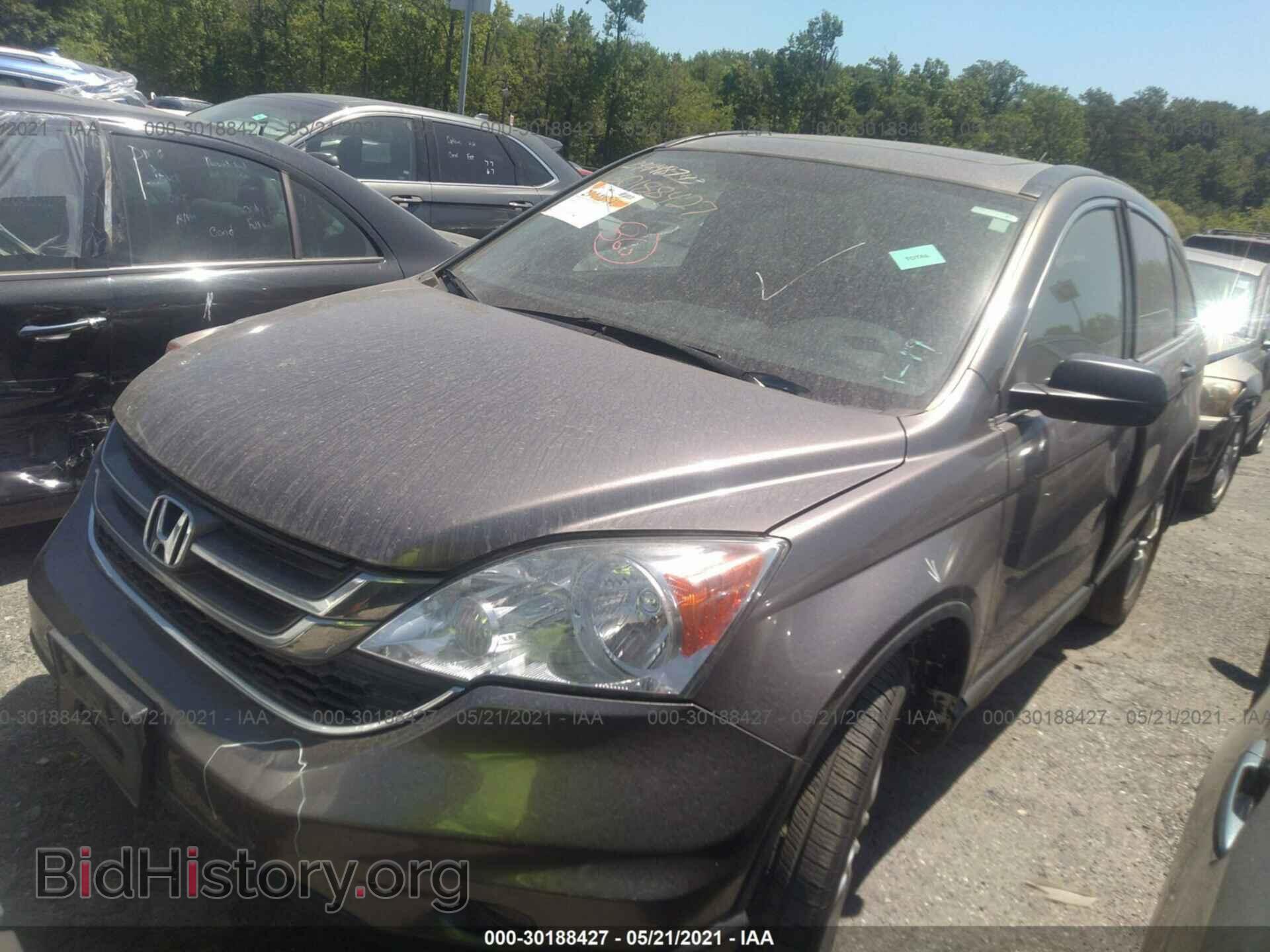 2010 HONDA CR-V - VIN: 5J6RE3H55AL044354 - Фото 2