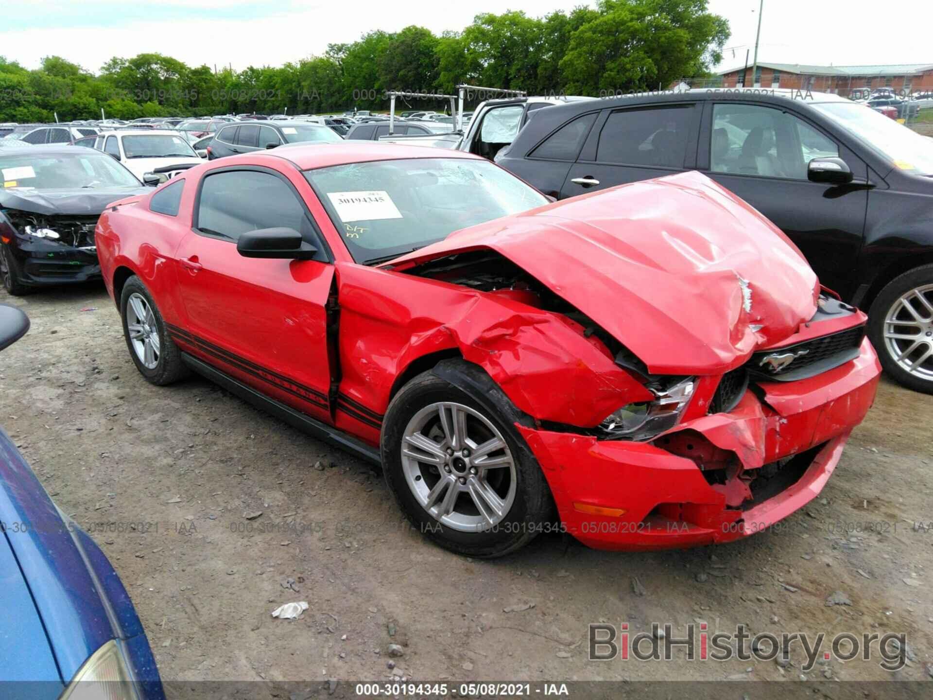 Photo 1ZVBP8AN8A5131062 - FORD MUSTANG 2010