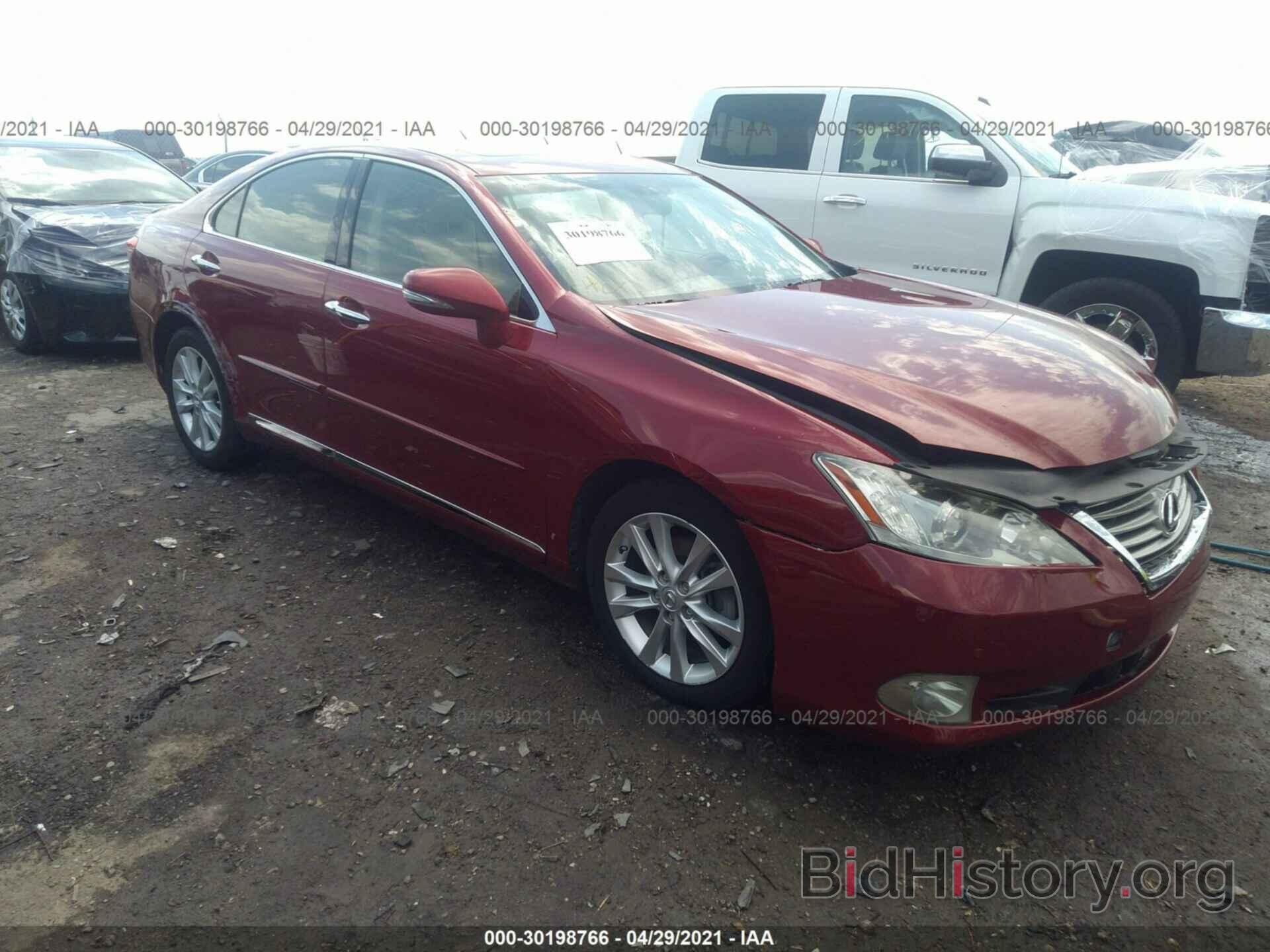 Фотография JTHBK1EG8C2491584 - LEXUS ES 350 2012