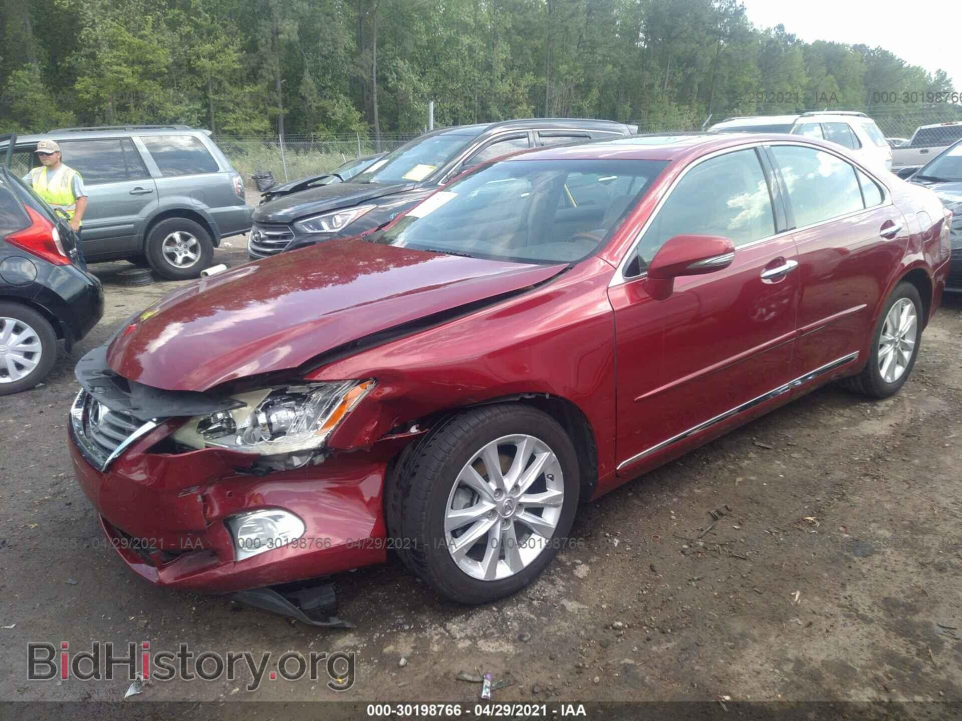 2012 LEXUS ES 350 - VIN: JTHBK1EG8C2491584 - Фото 2