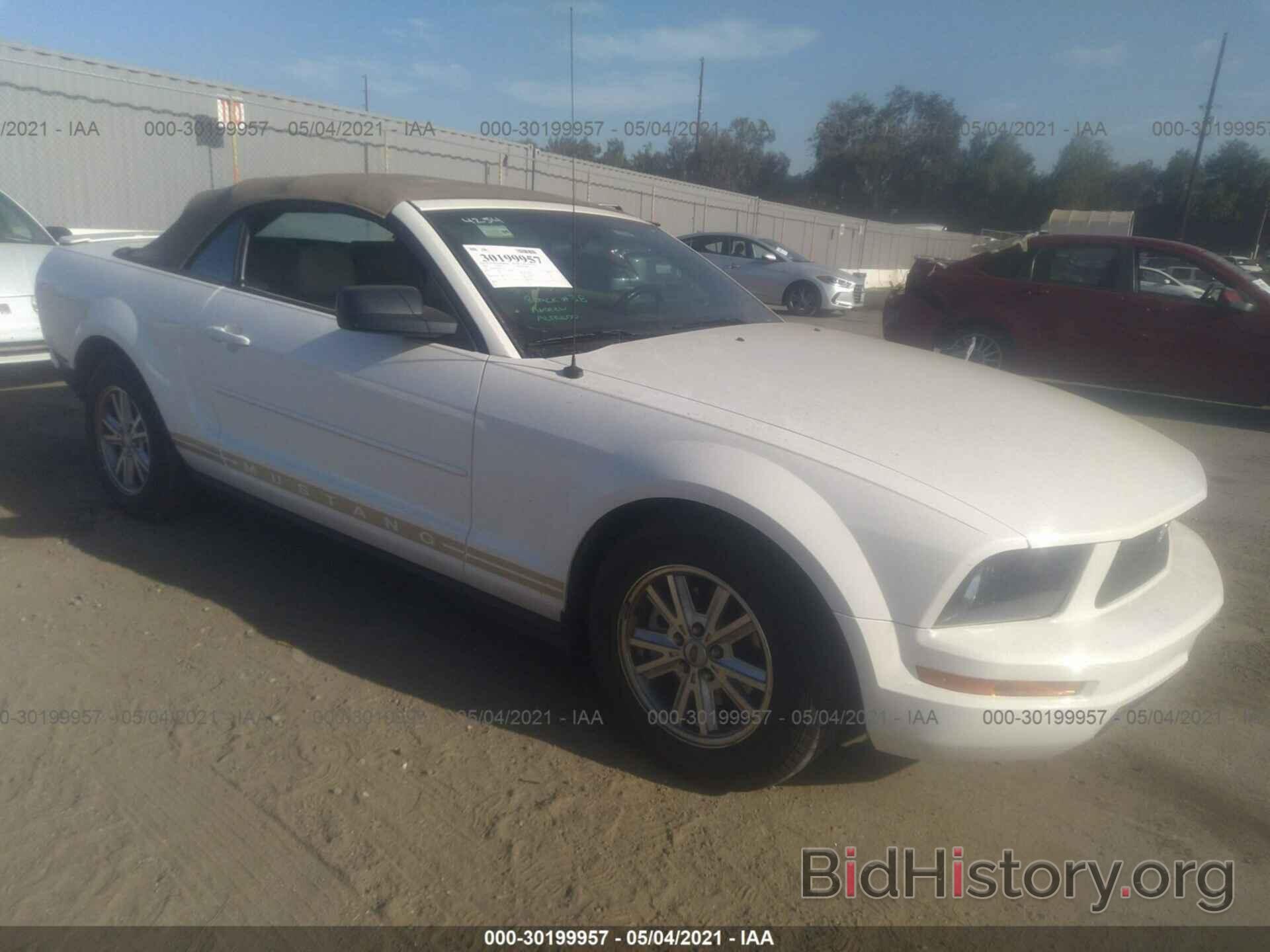 Photo 1ZVHT84N185134655 - FORD MUSTANG 2008