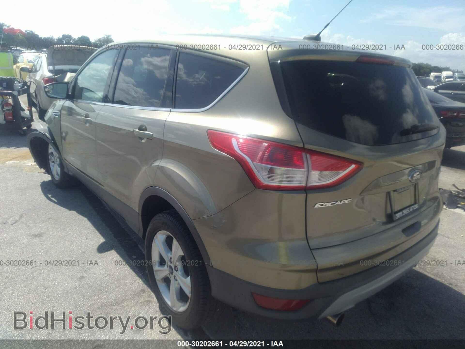 2013 FORD ESCAPE - VIN: 1FMCU0GX0DUC20074 - Фото 3