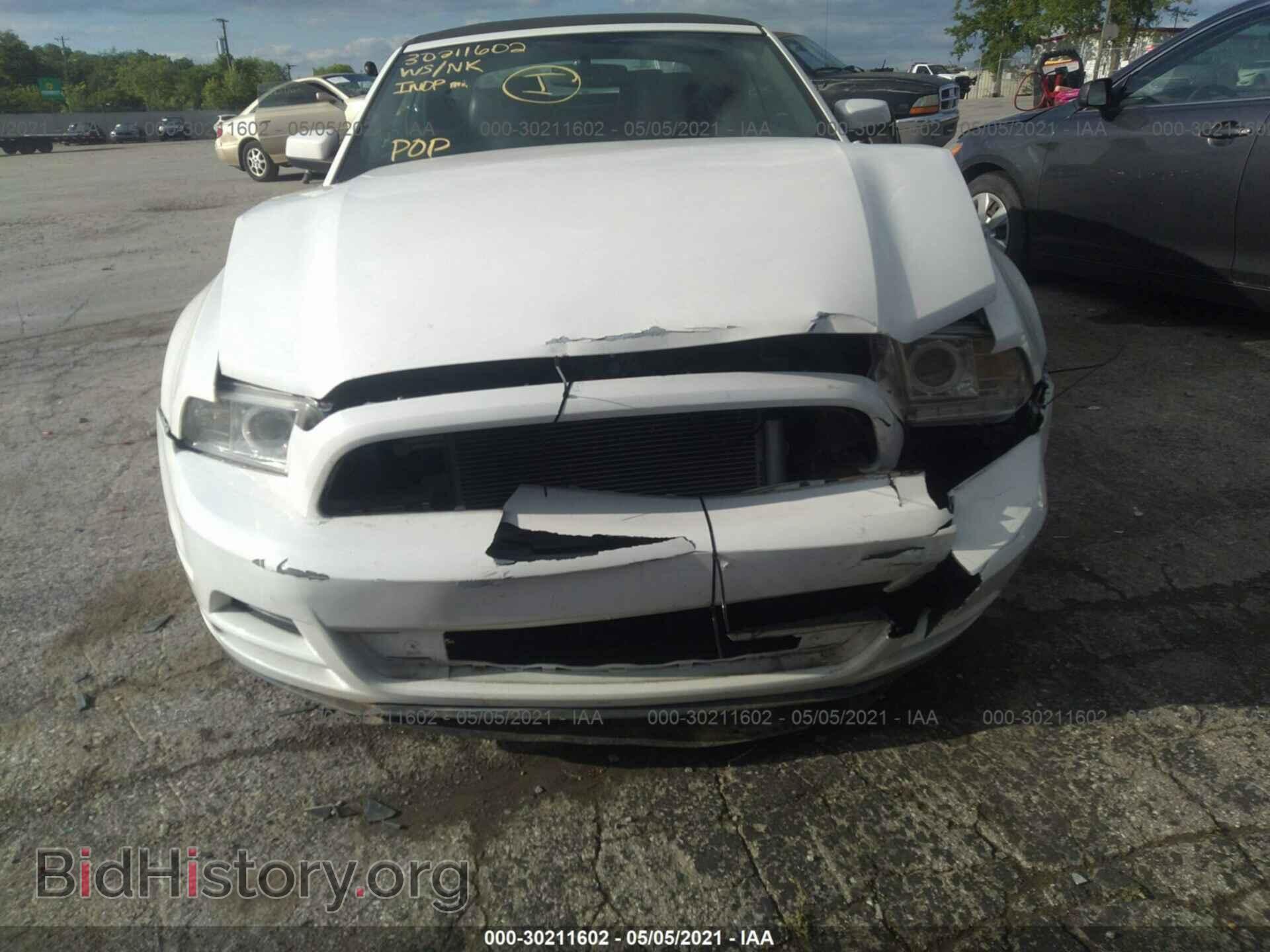 2013 FORD MUSTANG - VIN: 1ZVBP8EM6D5203026 - Фото 6
