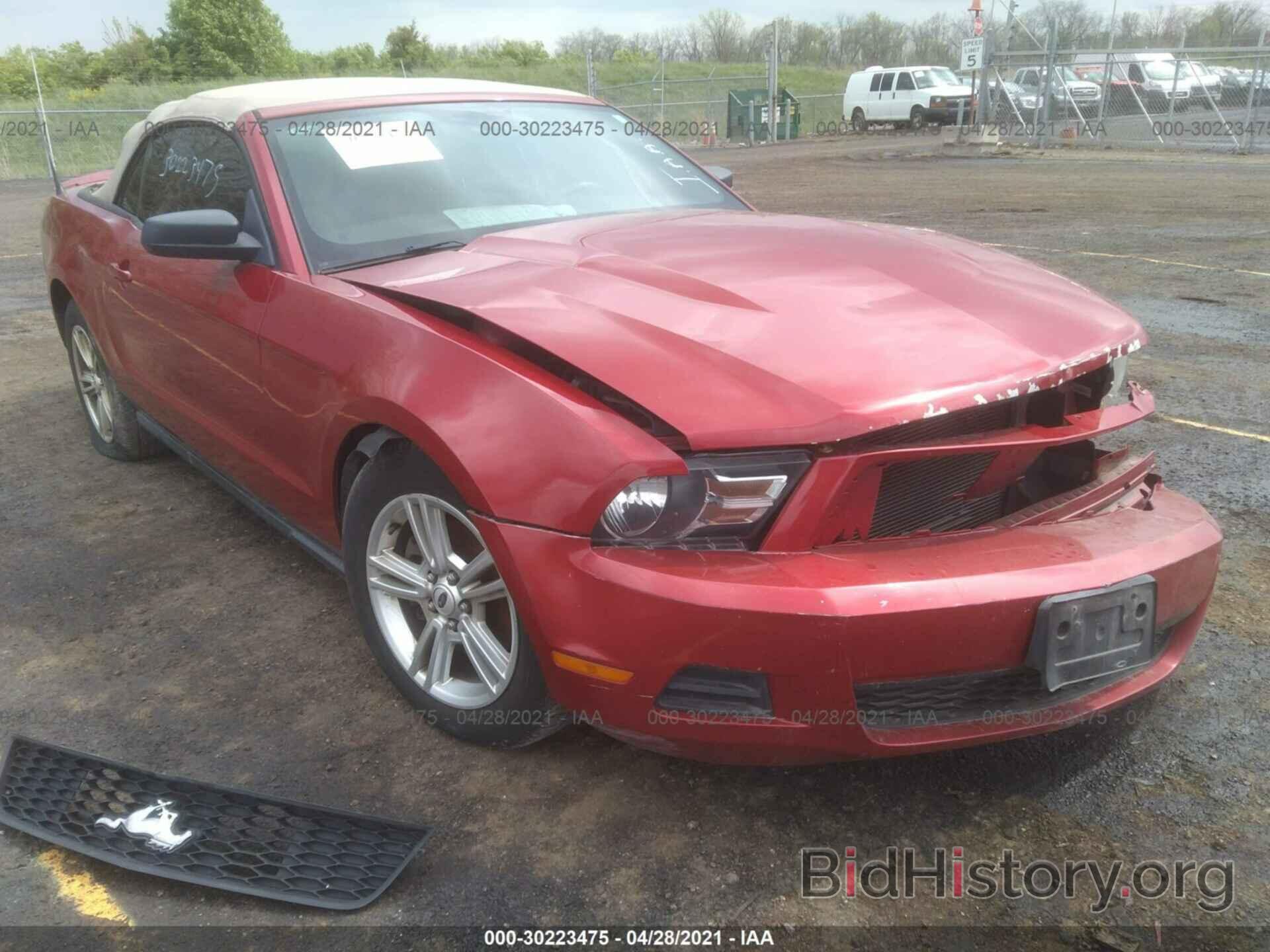 Photo 1ZVBP8EM9B5148486 - FORD MUSTANG 2011