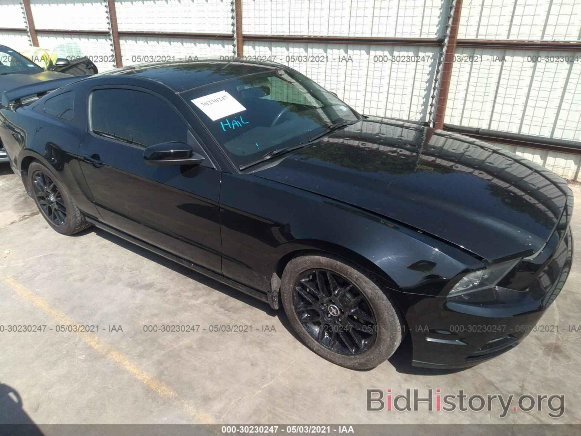 Photo 1ZVBP8AM6E5316417 - FORD MUSTANG 2014