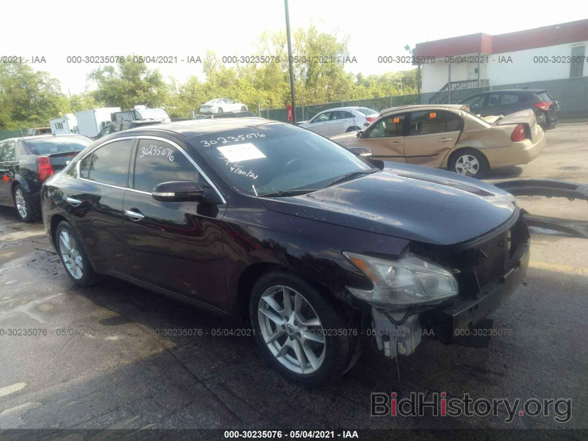 Photo 1N4AA5AP5AC850190 - NISSAN MAXIMA 2010