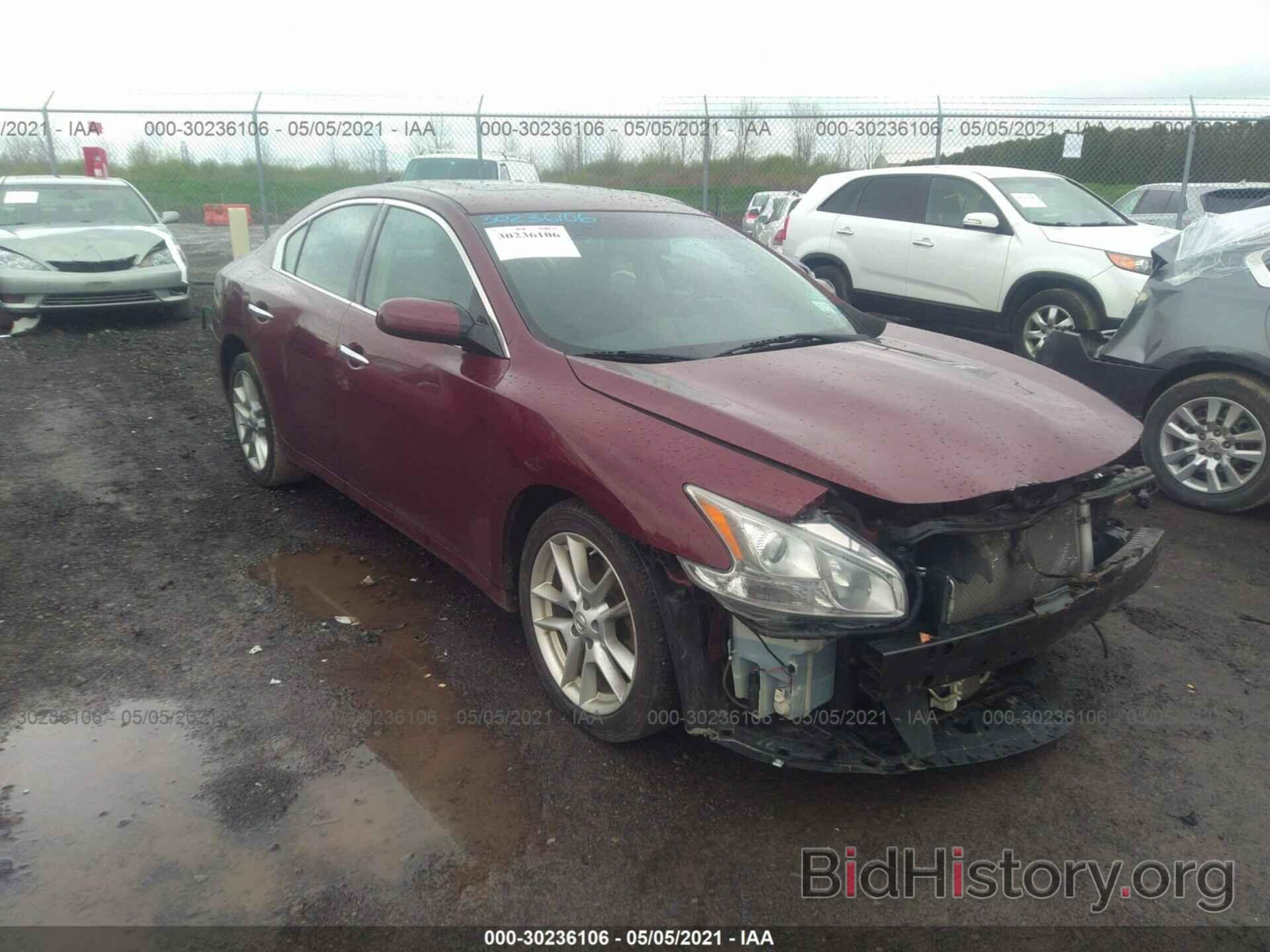 Photo 1N4AA5AP0DC802925 - NISSAN MAXIMA 2013