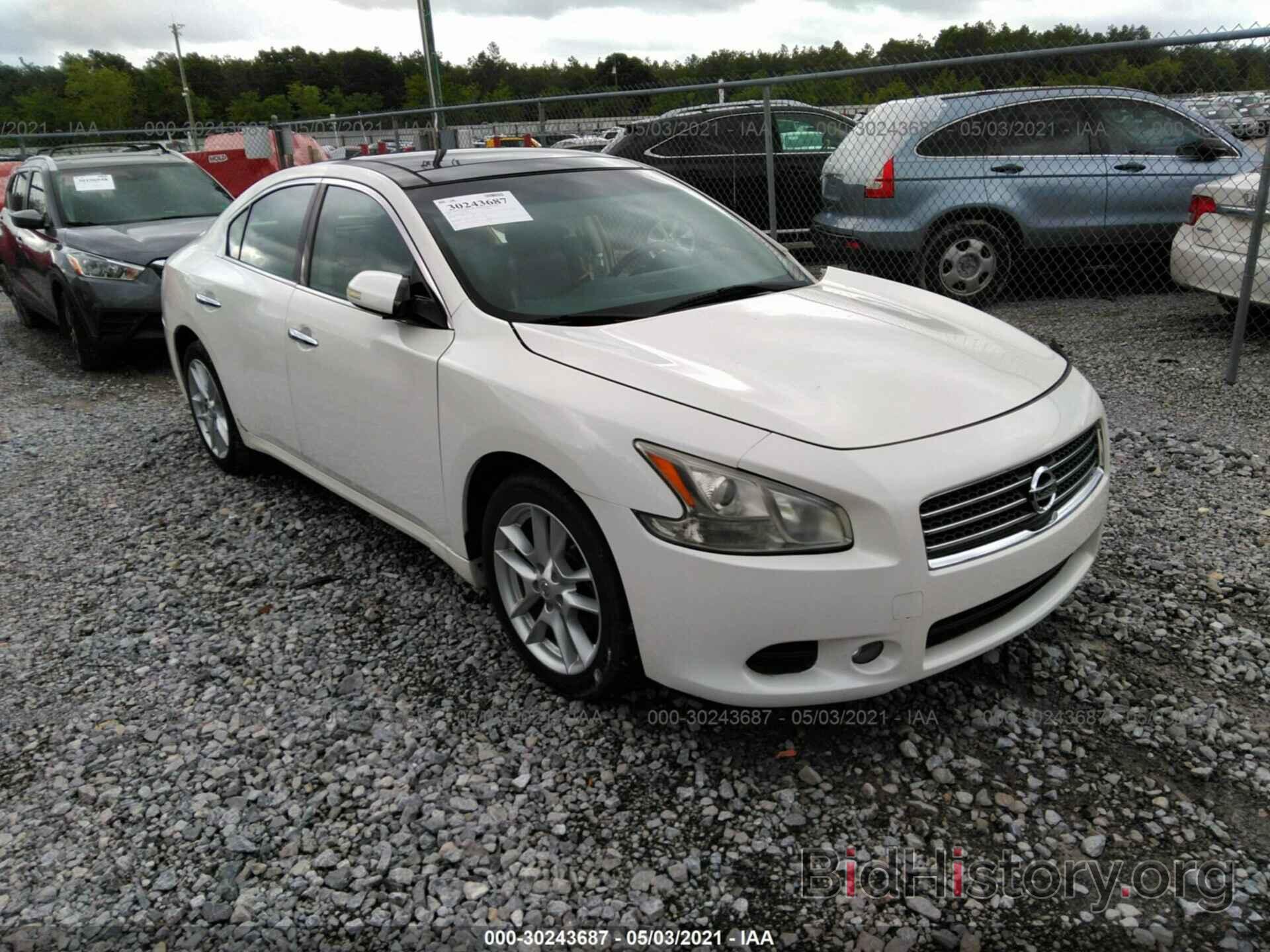 Photo 1N4AA5AP2BC838807 - NISSAN MAXIMA 2011