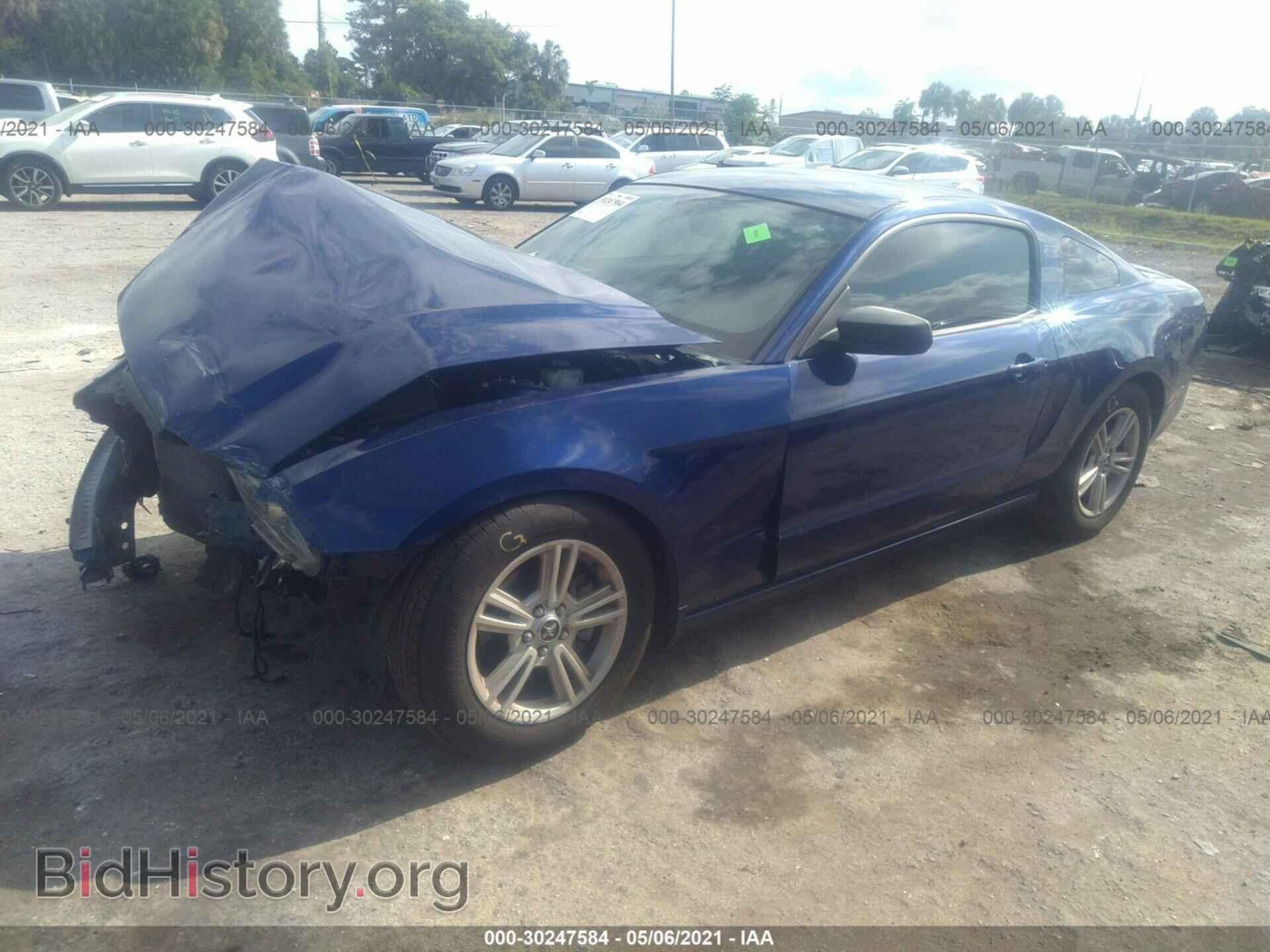 2014 FORD MUSTANG - VIN: 1ZVBP8AM4E5279903 - Фото 2
