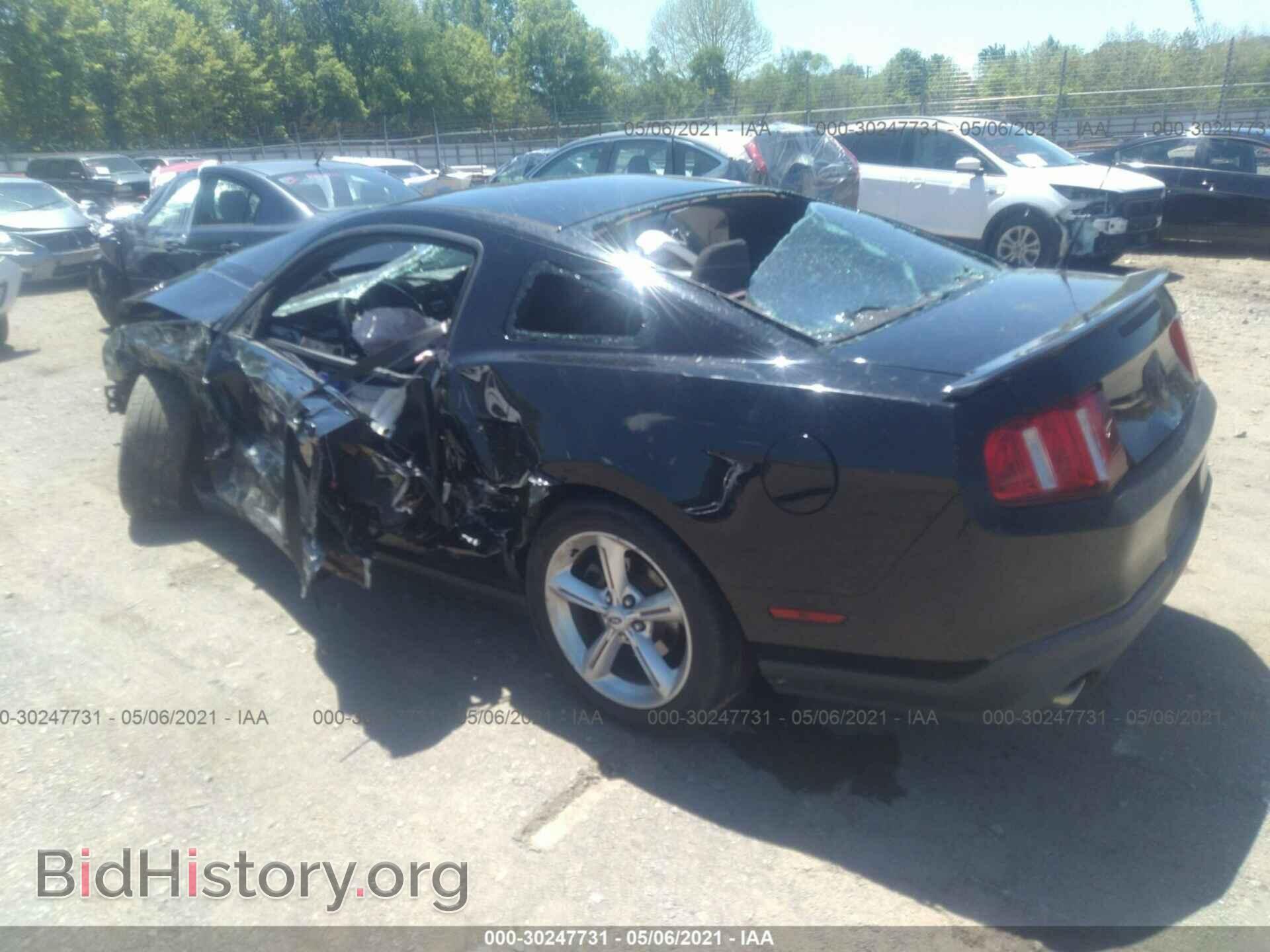2011 FORD MUSTANG - VIN: 1ZVBP8CF9B5155538 - Фото 3