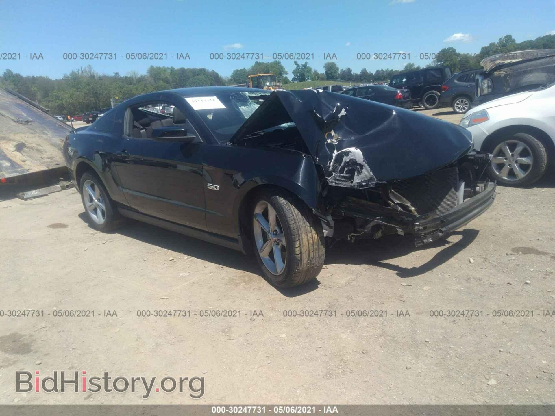 2011 FORD MUSTANG - VIN: 1ZVBP8CF9B5155538 - Фото 6