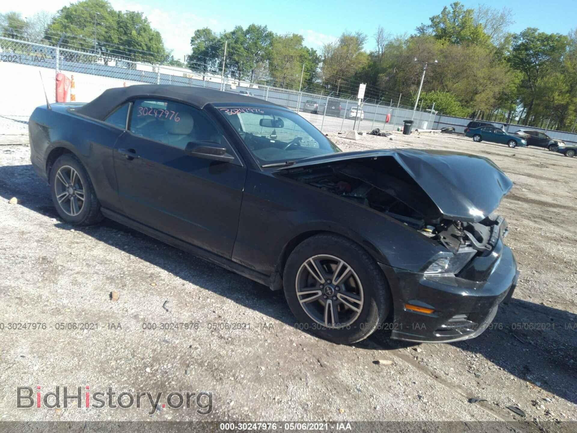 Фотография 1ZVBP8EM7D5236813 - FORD MUSTANG 2013