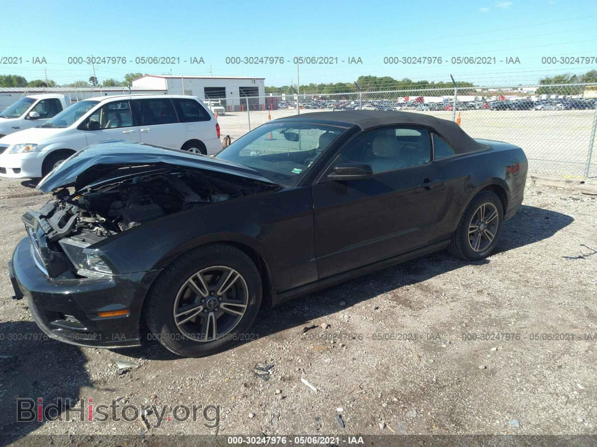 2013 FORD MUSTANG - VIN: 1ZVBP8EM7D5236813 - Фото 2