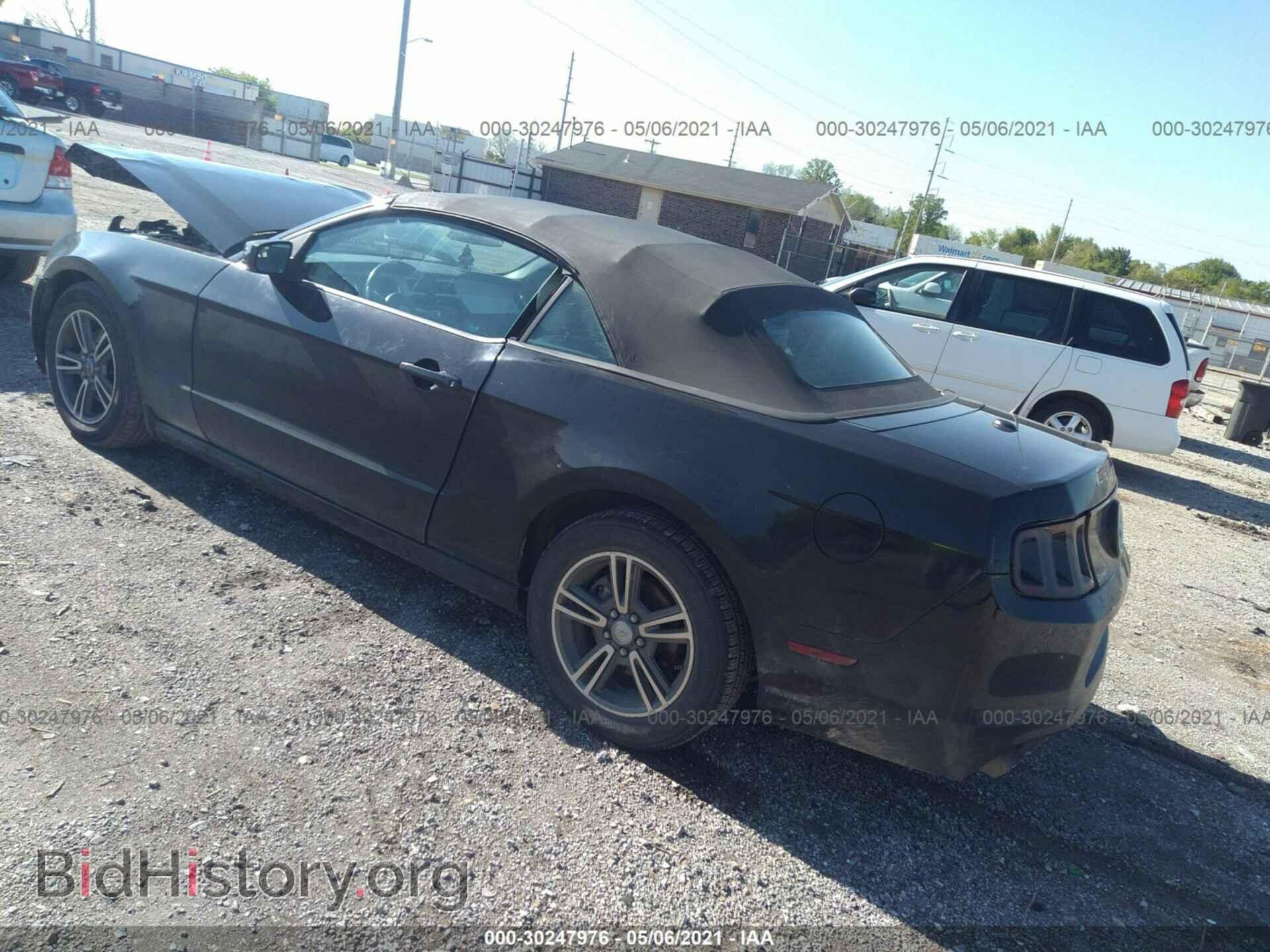 2013 FORD MUSTANG - VIN: 1ZVBP8EM7D5236813 - Фото 3