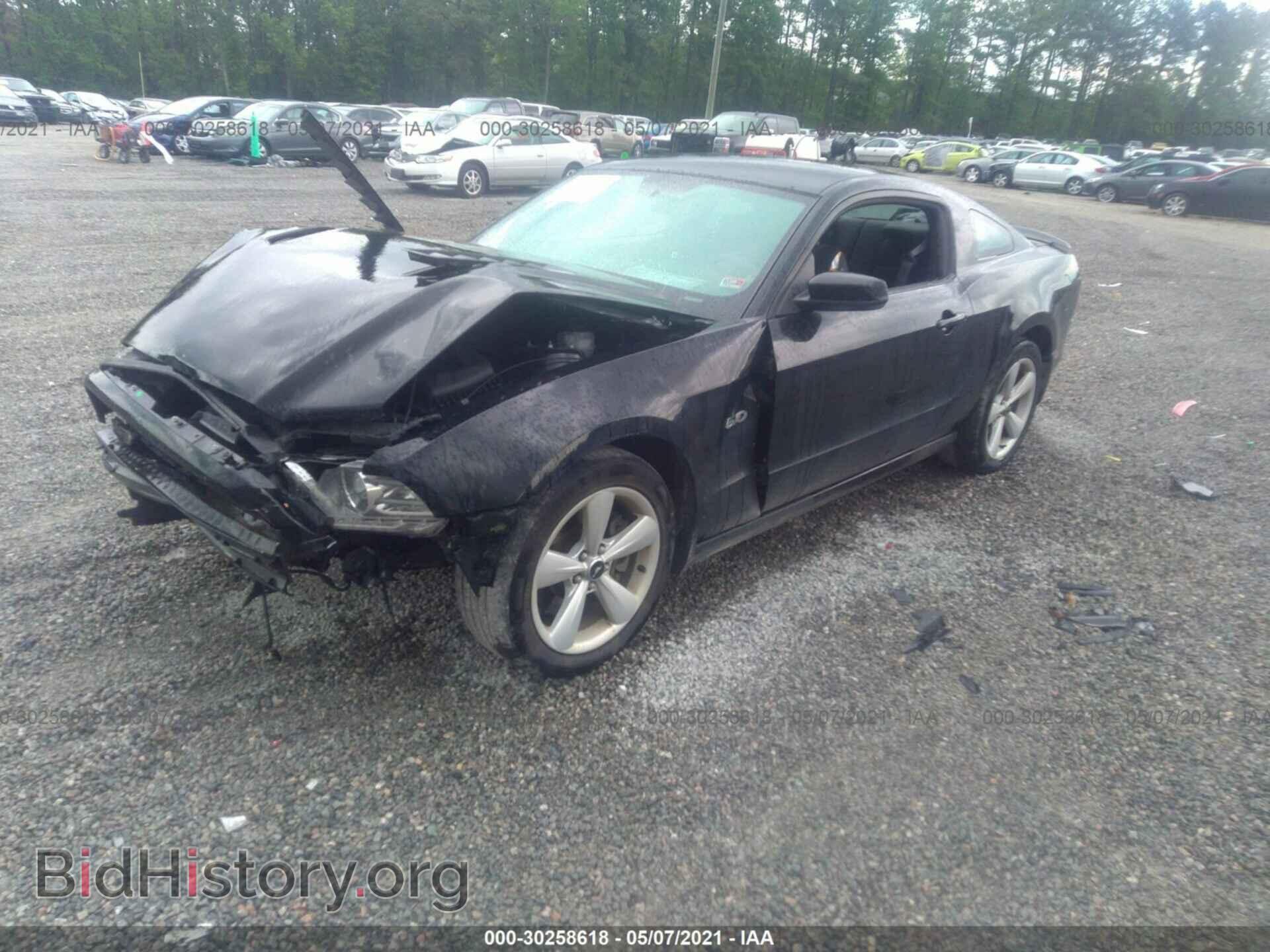 2013 FORD MUSTANG - VIN: 1ZVBP8CF6D5238248 - Фото 2