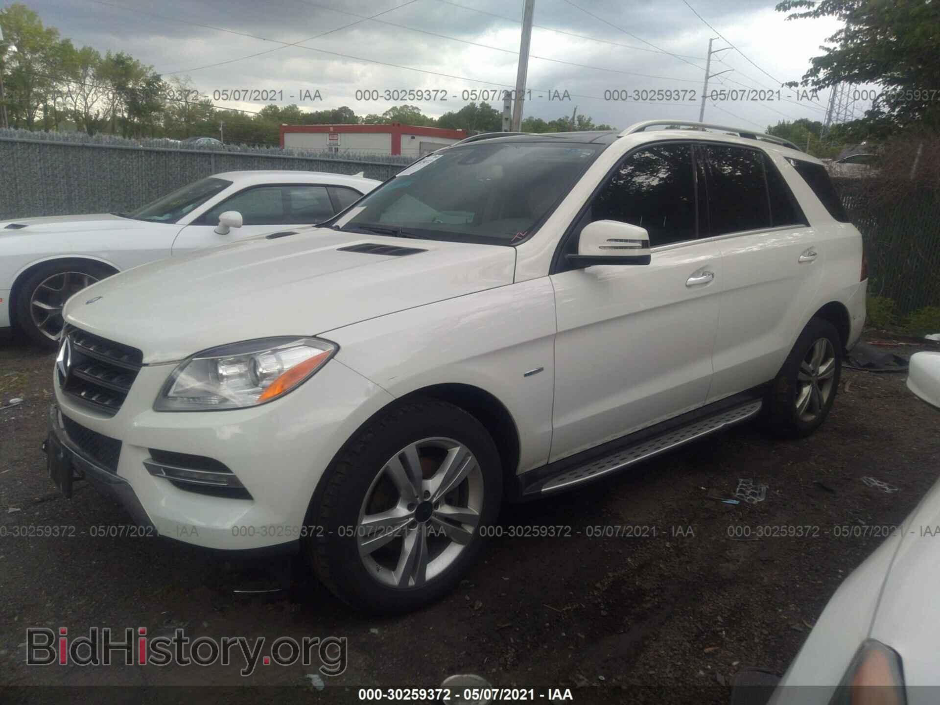 2012 MERCEDES-BENZ M-CLASS - VIN: 4JGDA5HB6CA045567 - Фото 2