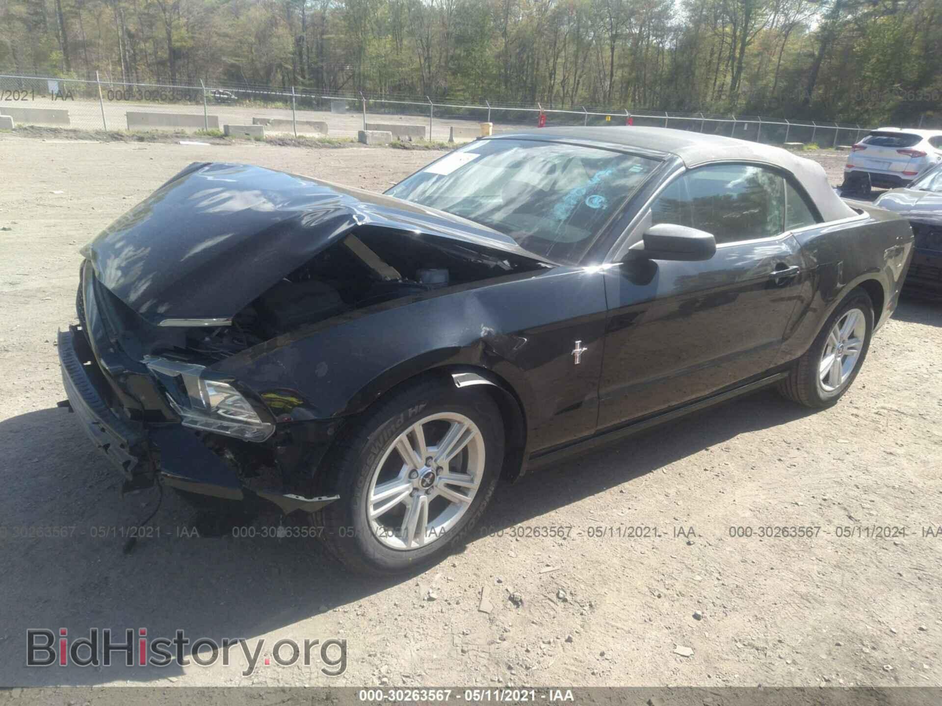 2014 FORD MUSTANG - VIN: 1ZVBP8EM9E5232019 - Фото 2