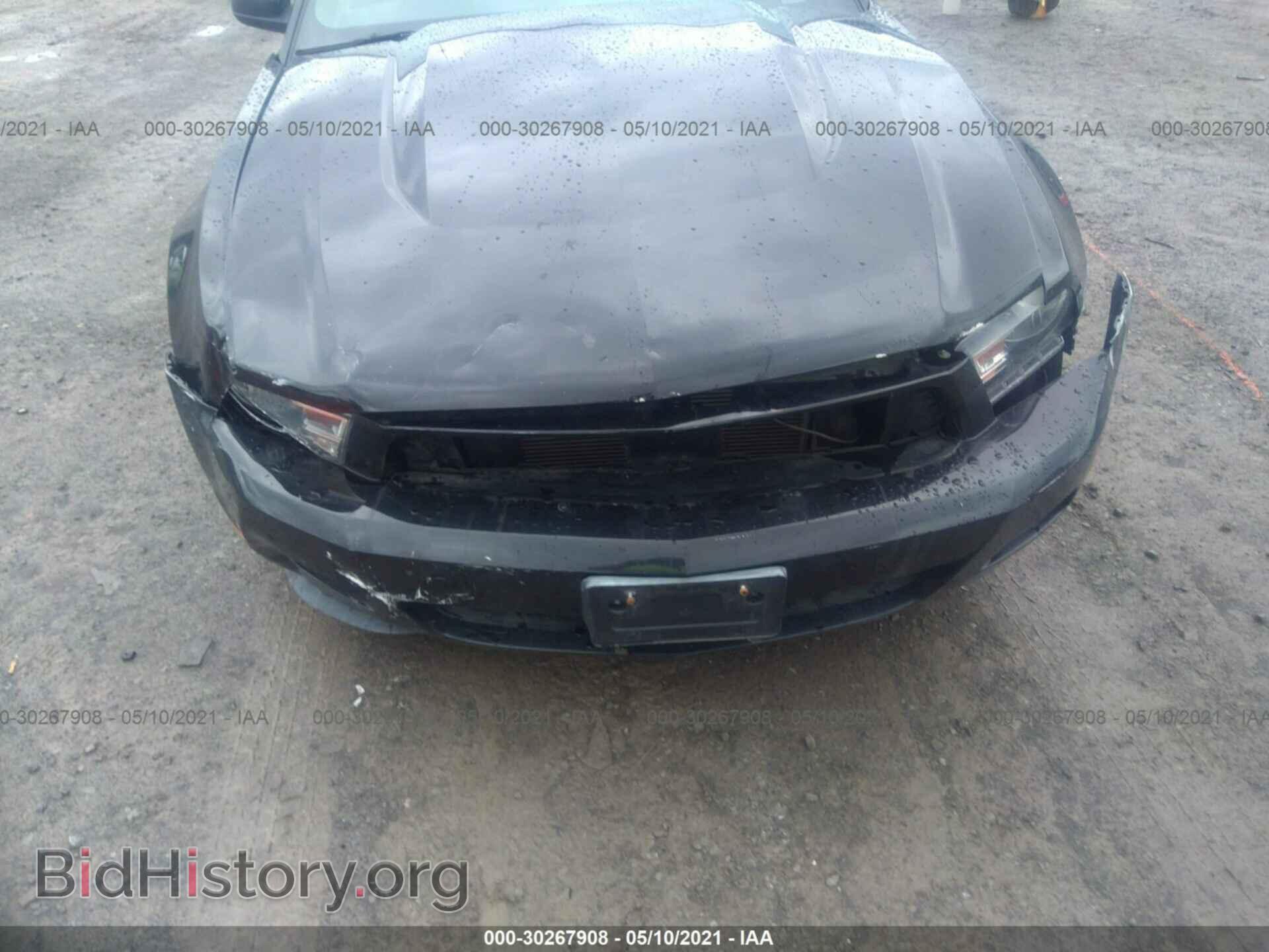 2010 FORD MUSTANG - VIN: 1ZVBP8EN3A5114521 - Фото 6