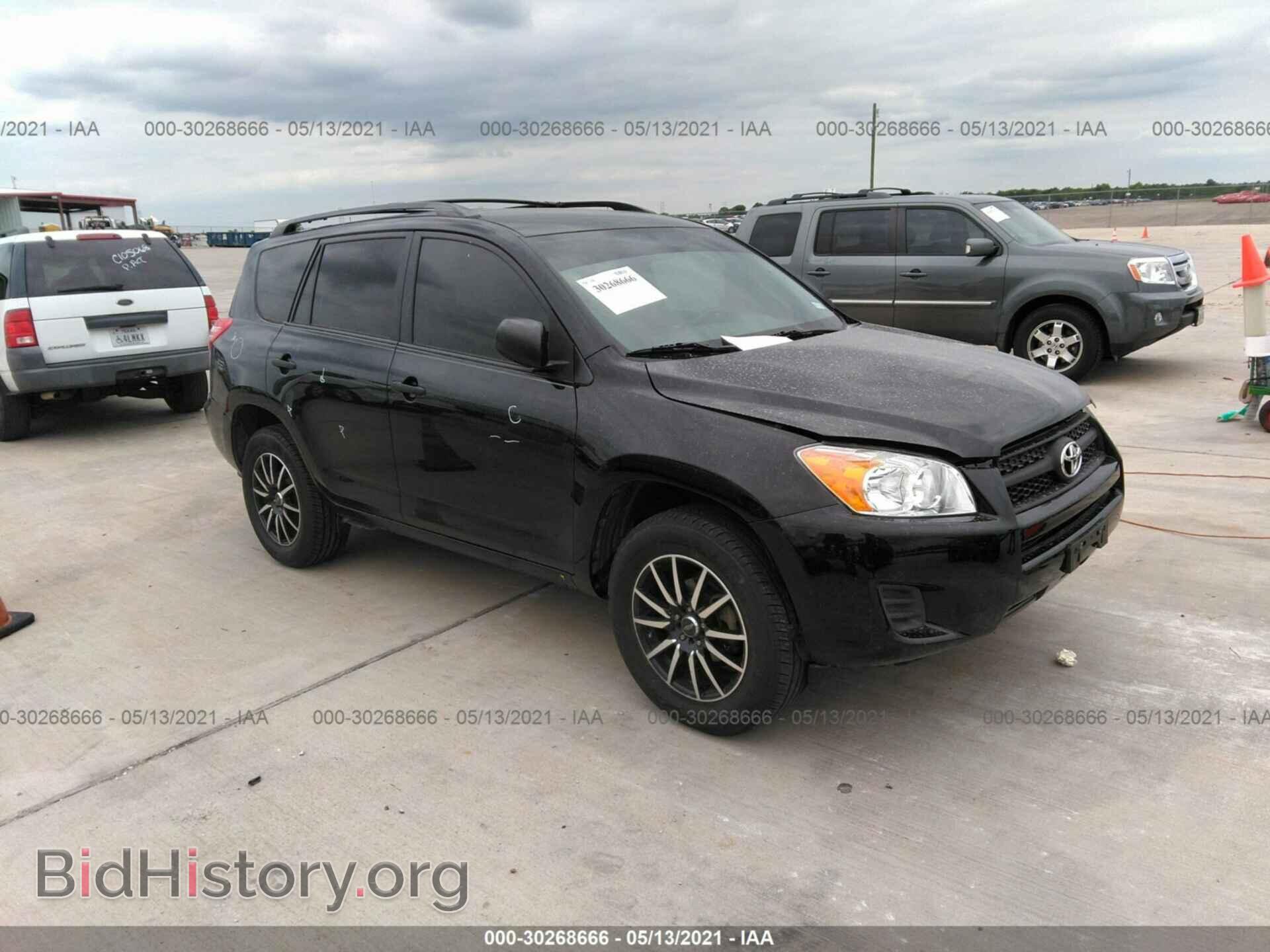 Photo 2T3BF4DV5CW202515 - TOYOTA RAV4 2012
