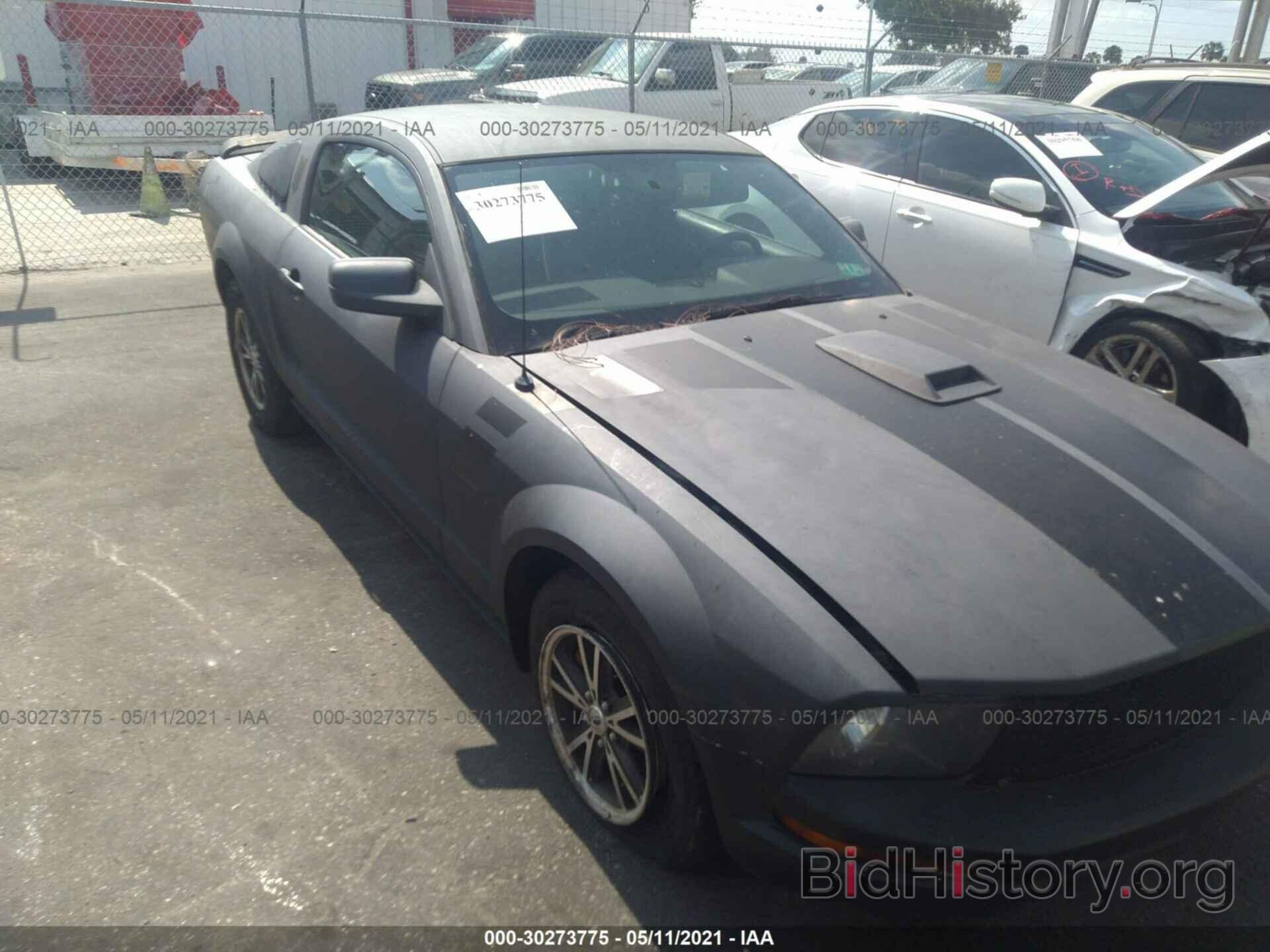 Photo 1ZVFT80N365196083 - FORD MUSTANG 2006