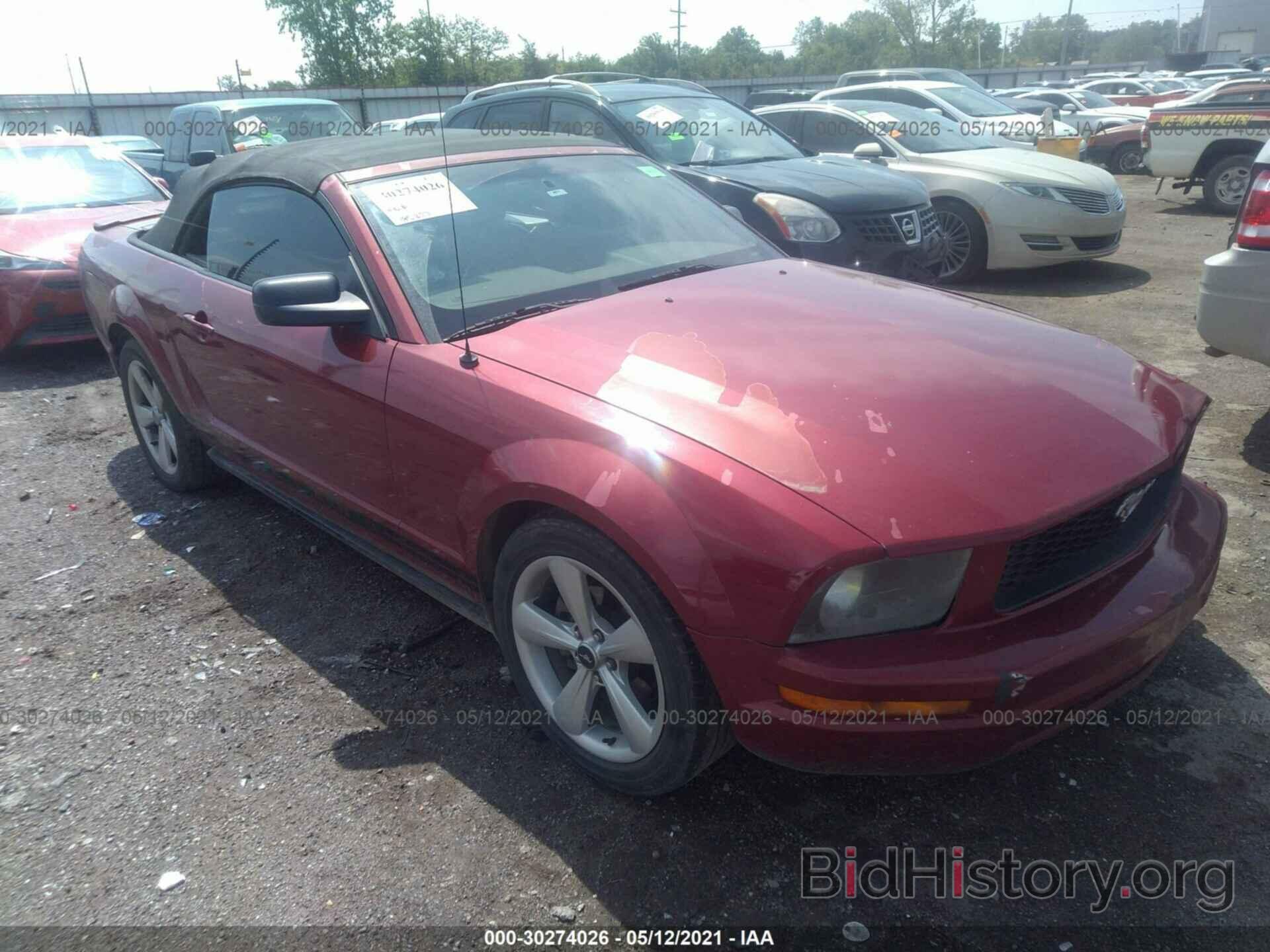 Photo 1ZVFT84N275364369 - FORD MUSTANG 2007