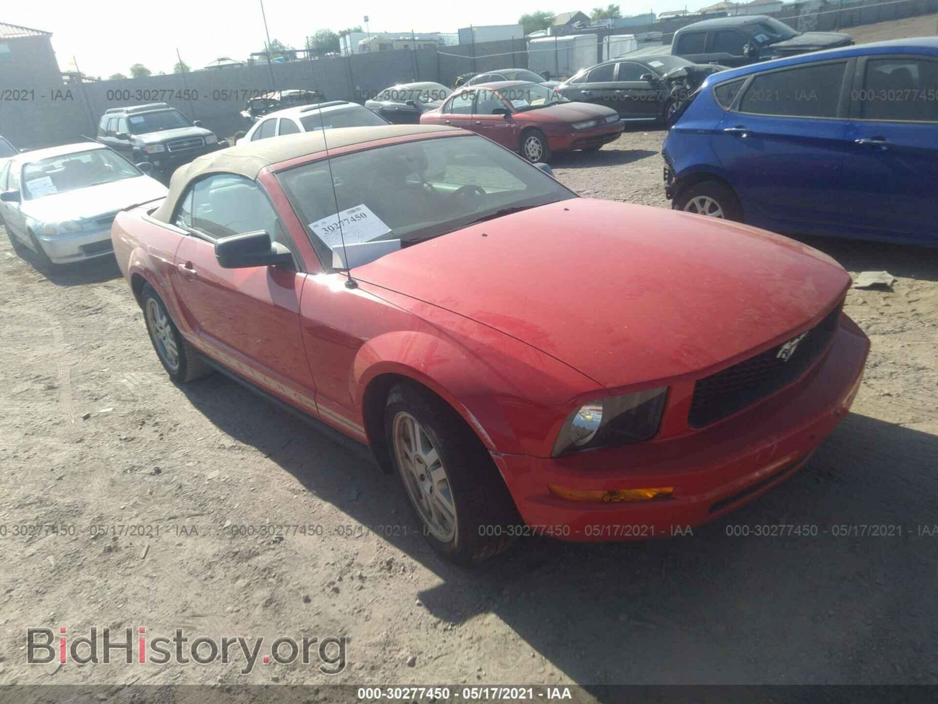Photo 1ZVFT84N975283675 - FORD MUSTANG 2007