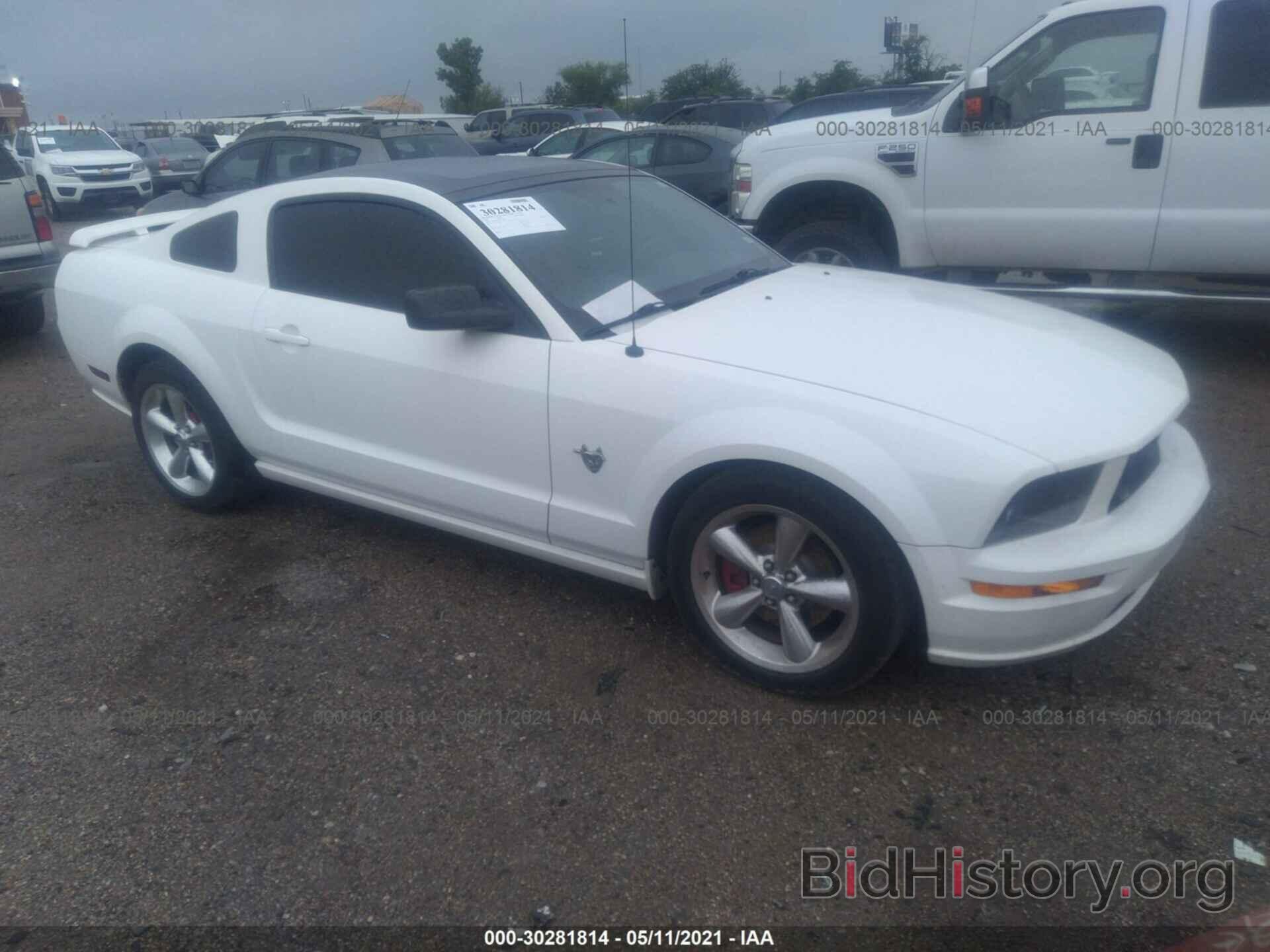 Photo 1ZVHT82H395116429 - FORD MUSTANG 2009