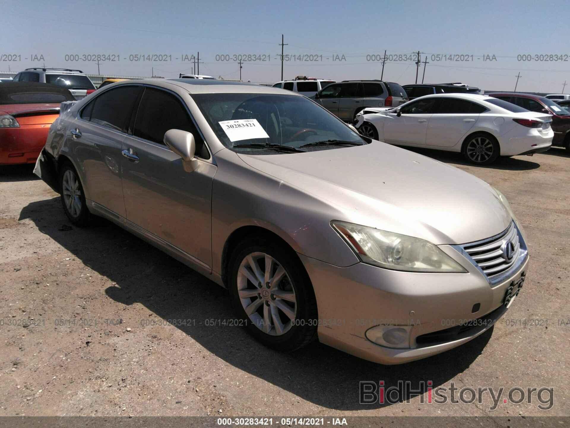 Фотография JTHBK1EG6B2460221 - LEXUS ES 350 2011