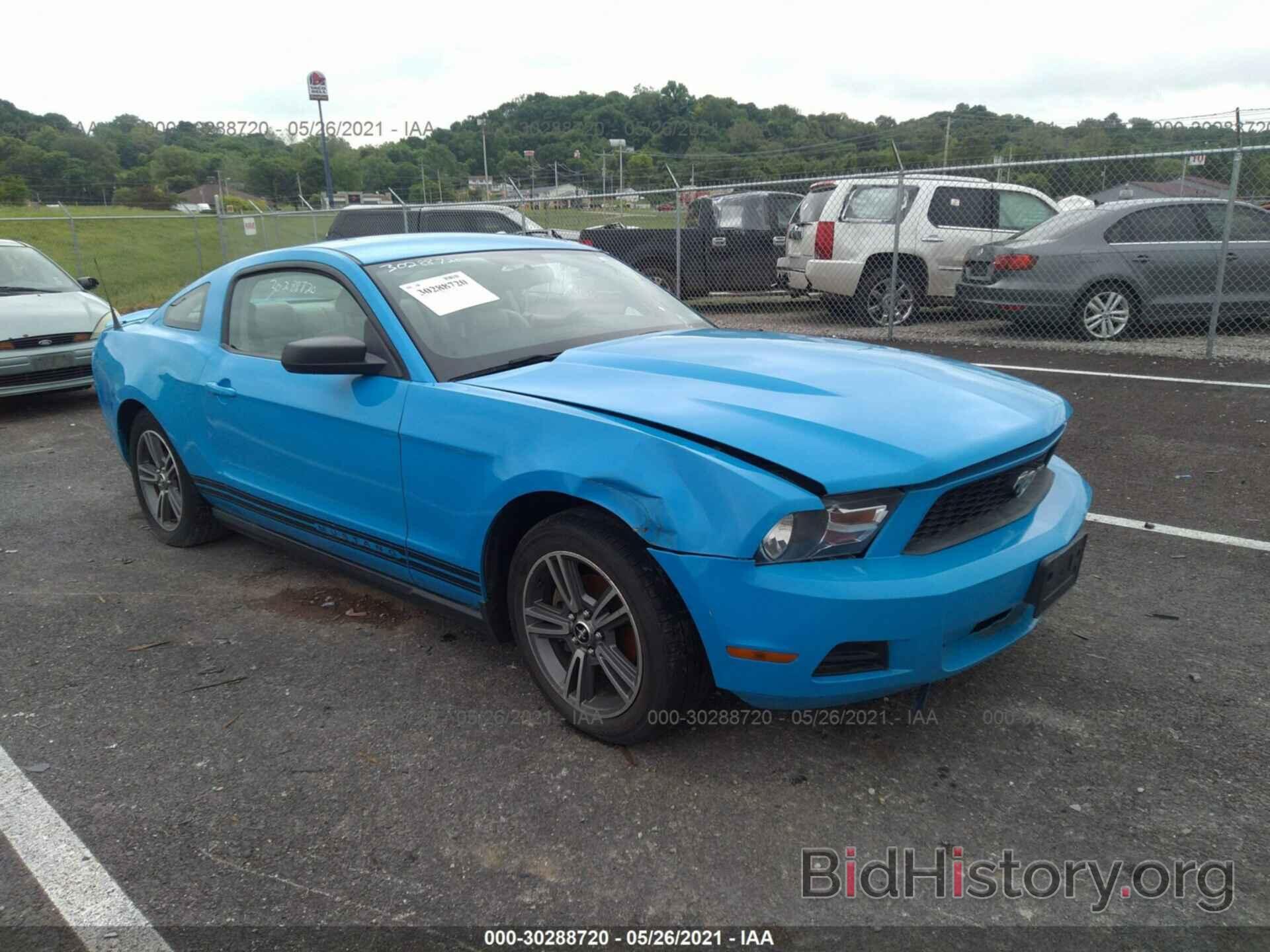 Photo 1ZVBP8AN2A5130697 - FORD MUSTANG 2010